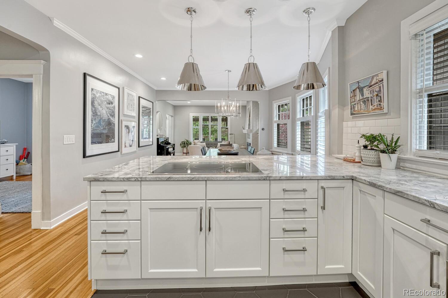 MLS Image #14 for 549 n ogden street,denver, Colorado