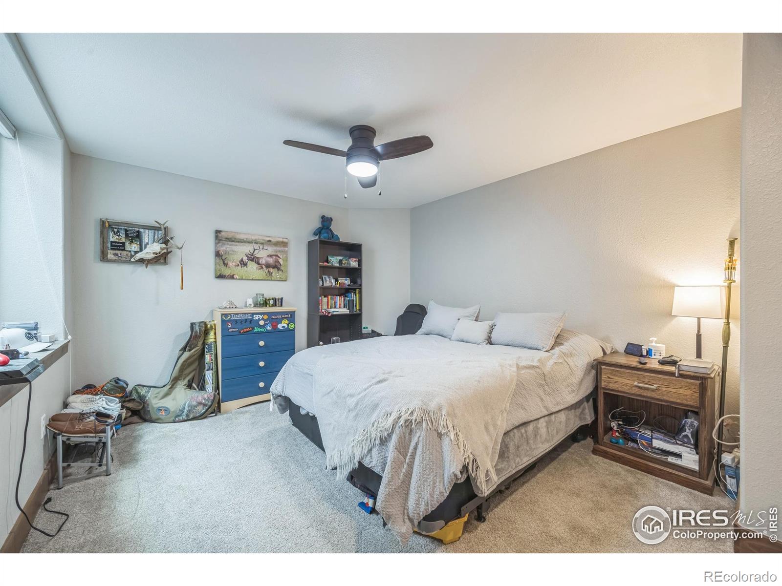 MLS Image #19 for 1897  holloway drive,windsor, Colorado