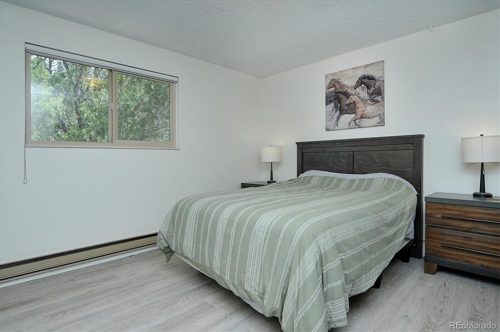 MLS Image #20 for 30600  county road 371 ,buena vista, Colorado