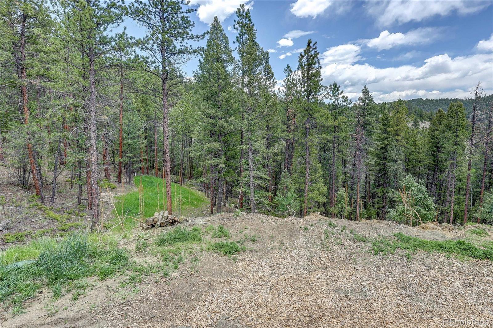 MLS Image #10 for 205  blueberry trail,bailey, Colorado