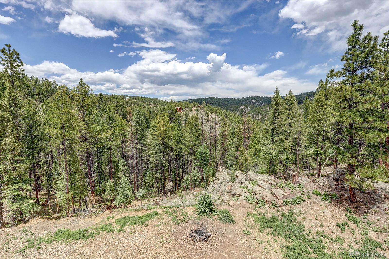 MLS Image #41 for 205  blueberry trail,bailey, Colorado