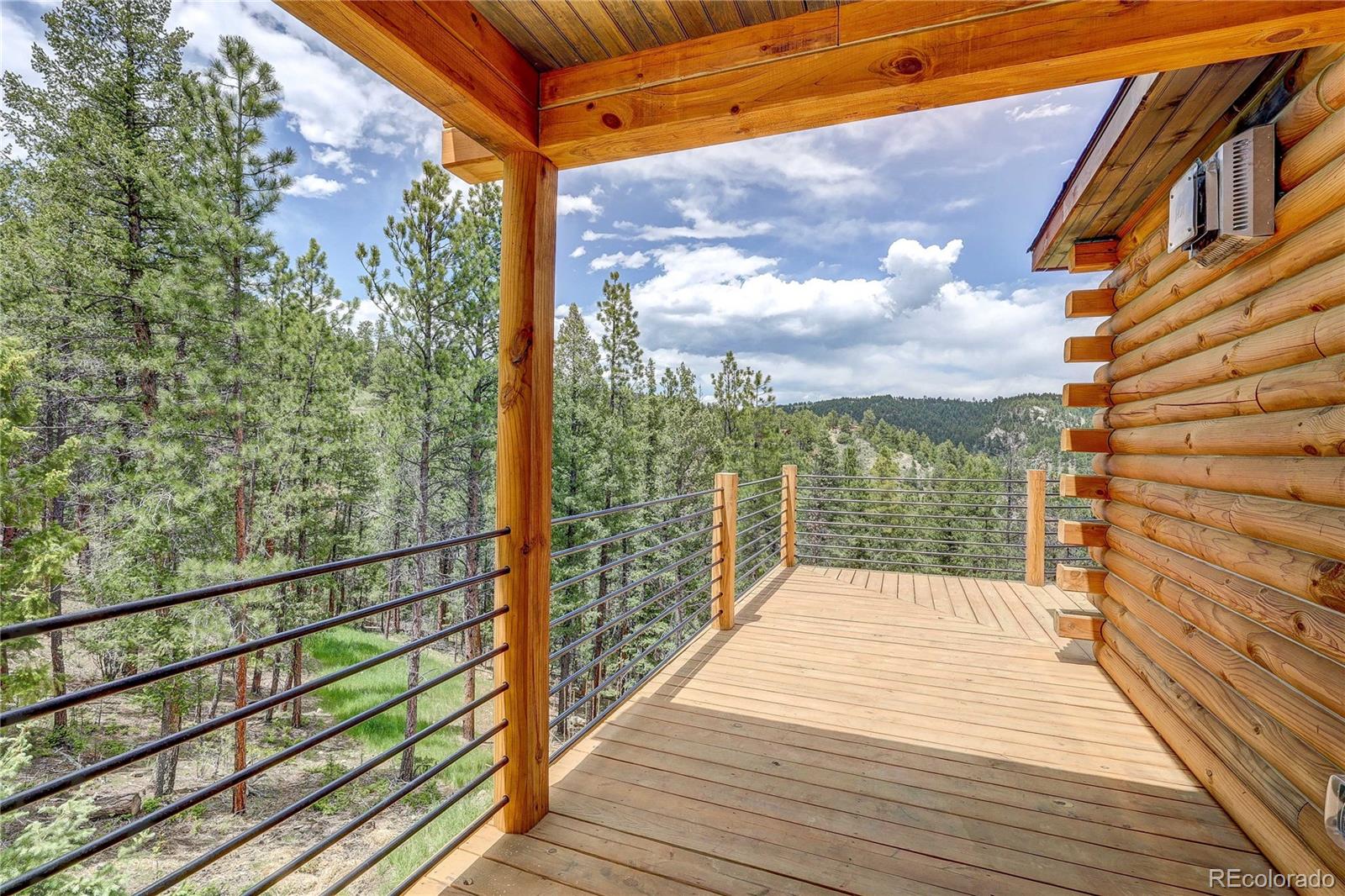 MLS Image #43 for 205  blueberry trail,bailey, Colorado
