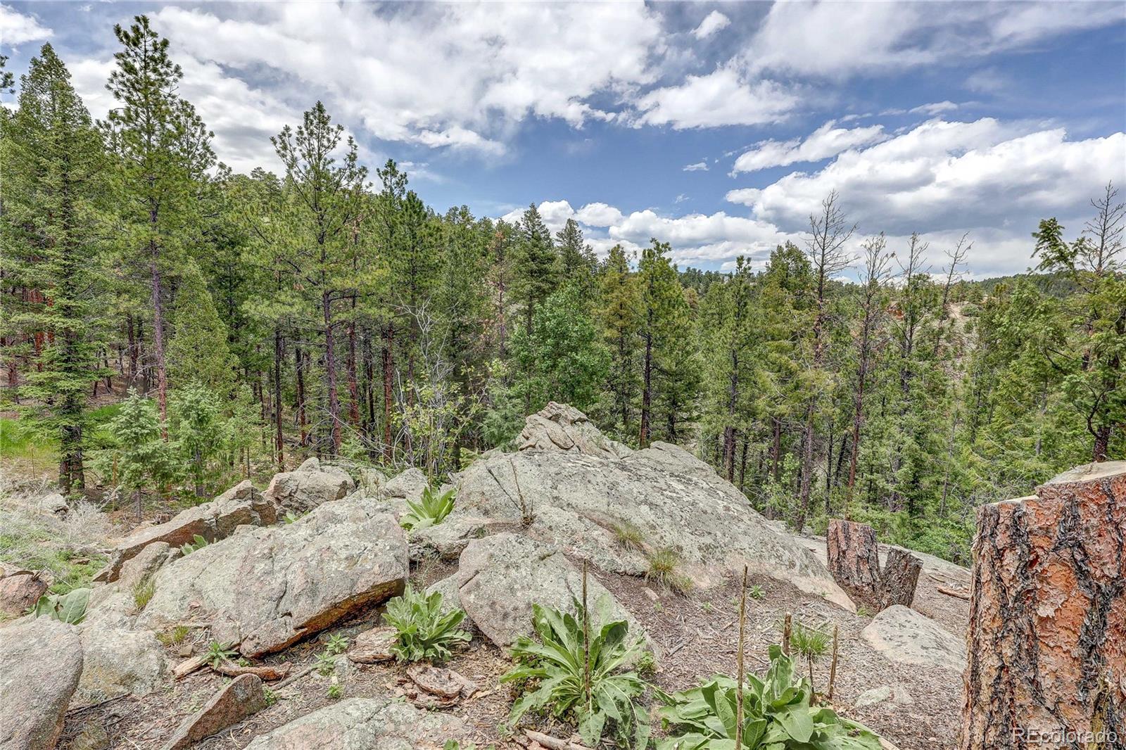 MLS Image #45 for 205  blueberry trail,bailey, Colorado