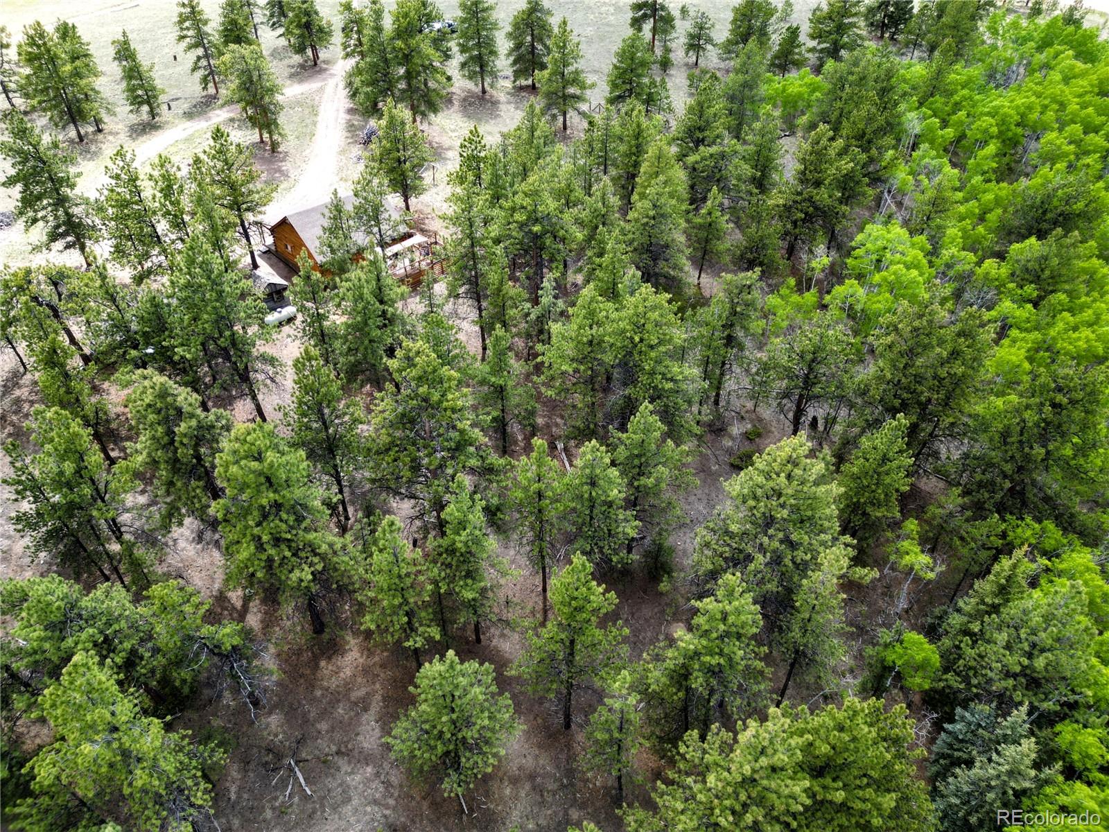 MLS Image #20 for 148  wakonda lane,hartsel, Colorado