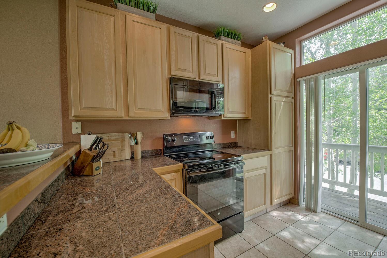 MLS Image #5 for 102  creek lane,silverthorne, Colorado