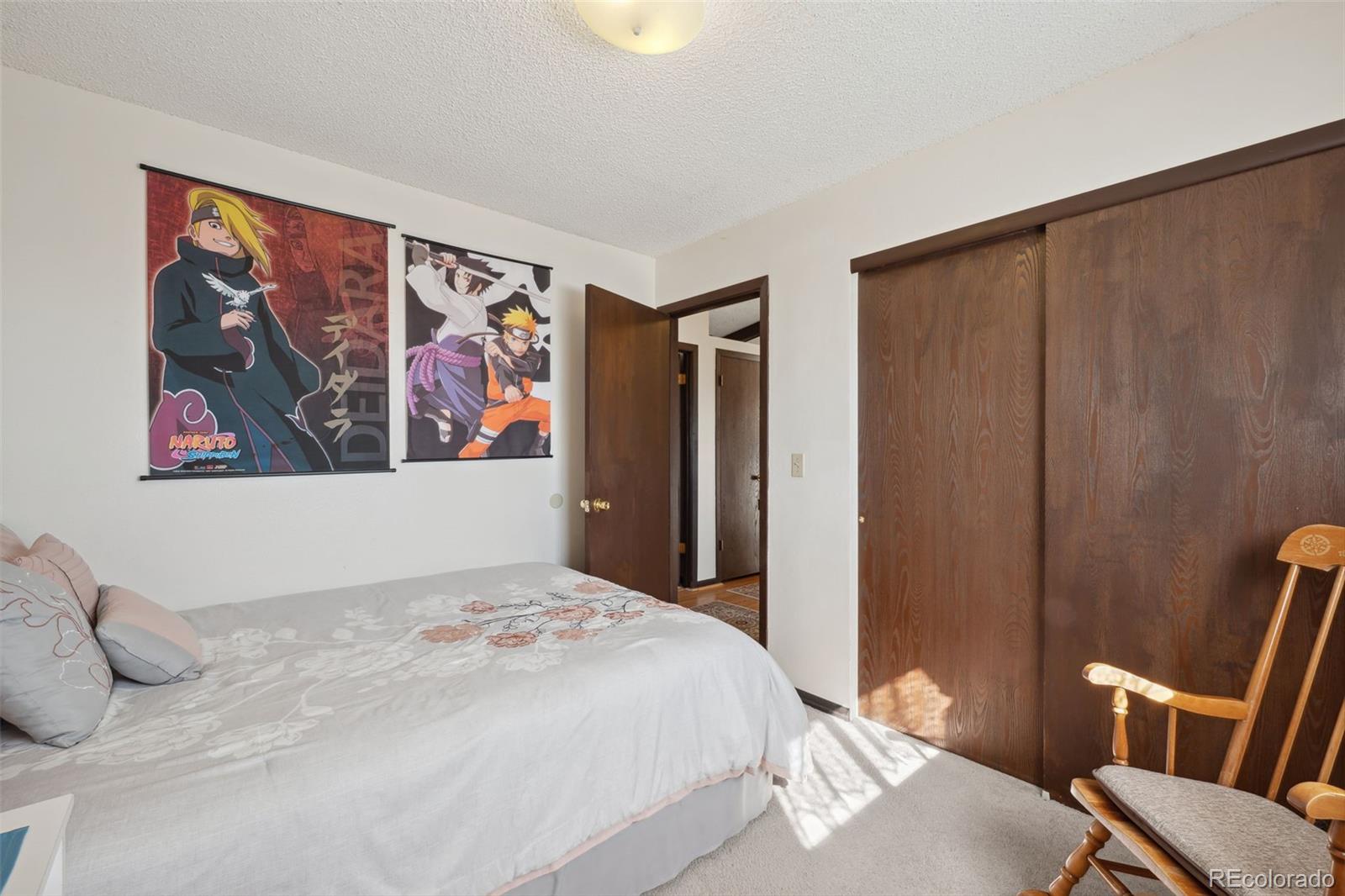 MLS Image #13 for 6157  del paz drive,colorado springs, Colorado