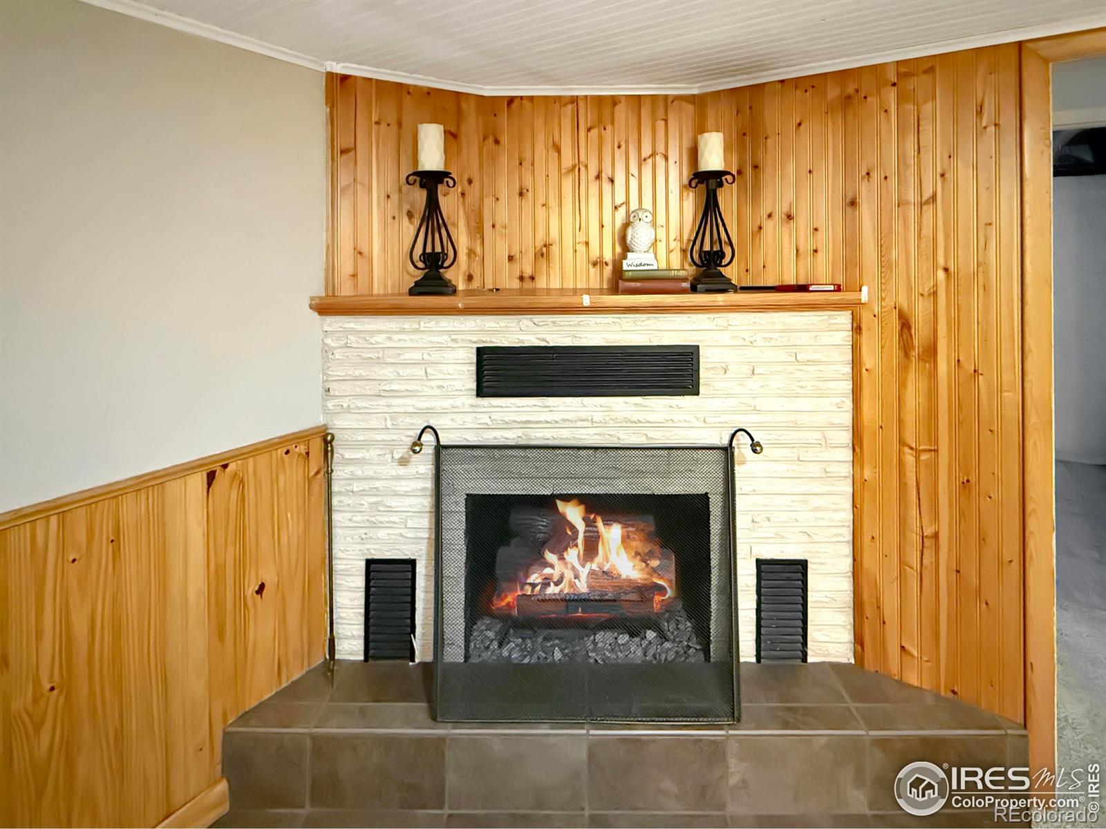 MLS Image #16 for 411 n logan avenue,fleming, Colorado