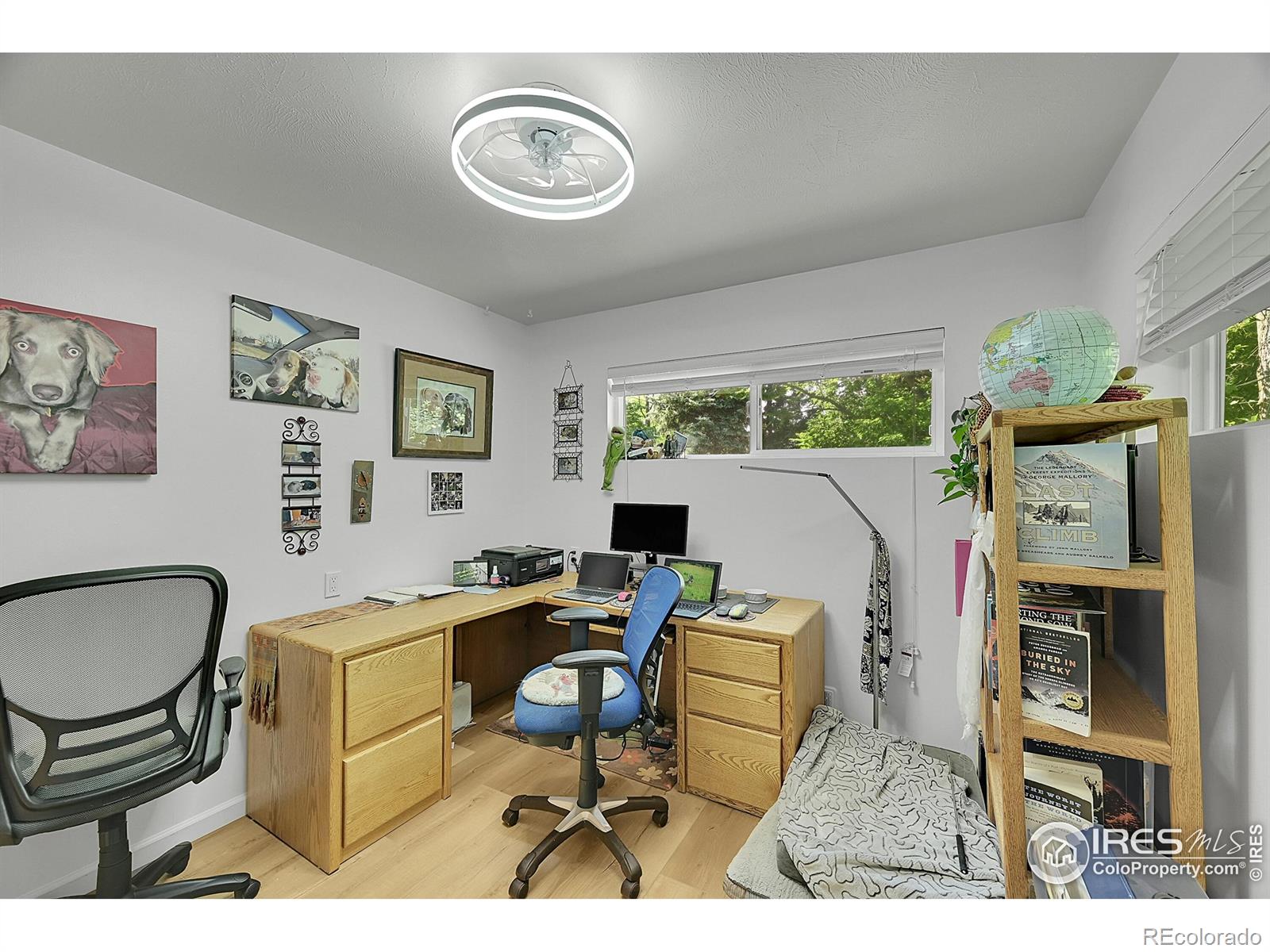 MLS Image #12 for 1210  gard place,loveland, Colorado