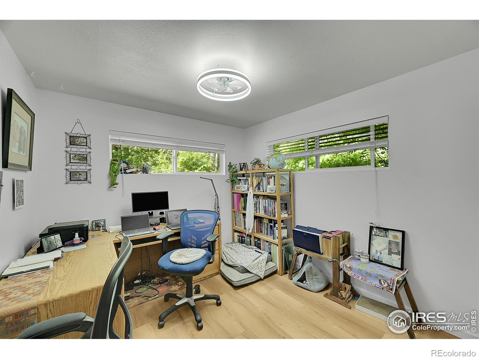 MLS Image #13 for 1210  gard place,loveland, Colorado