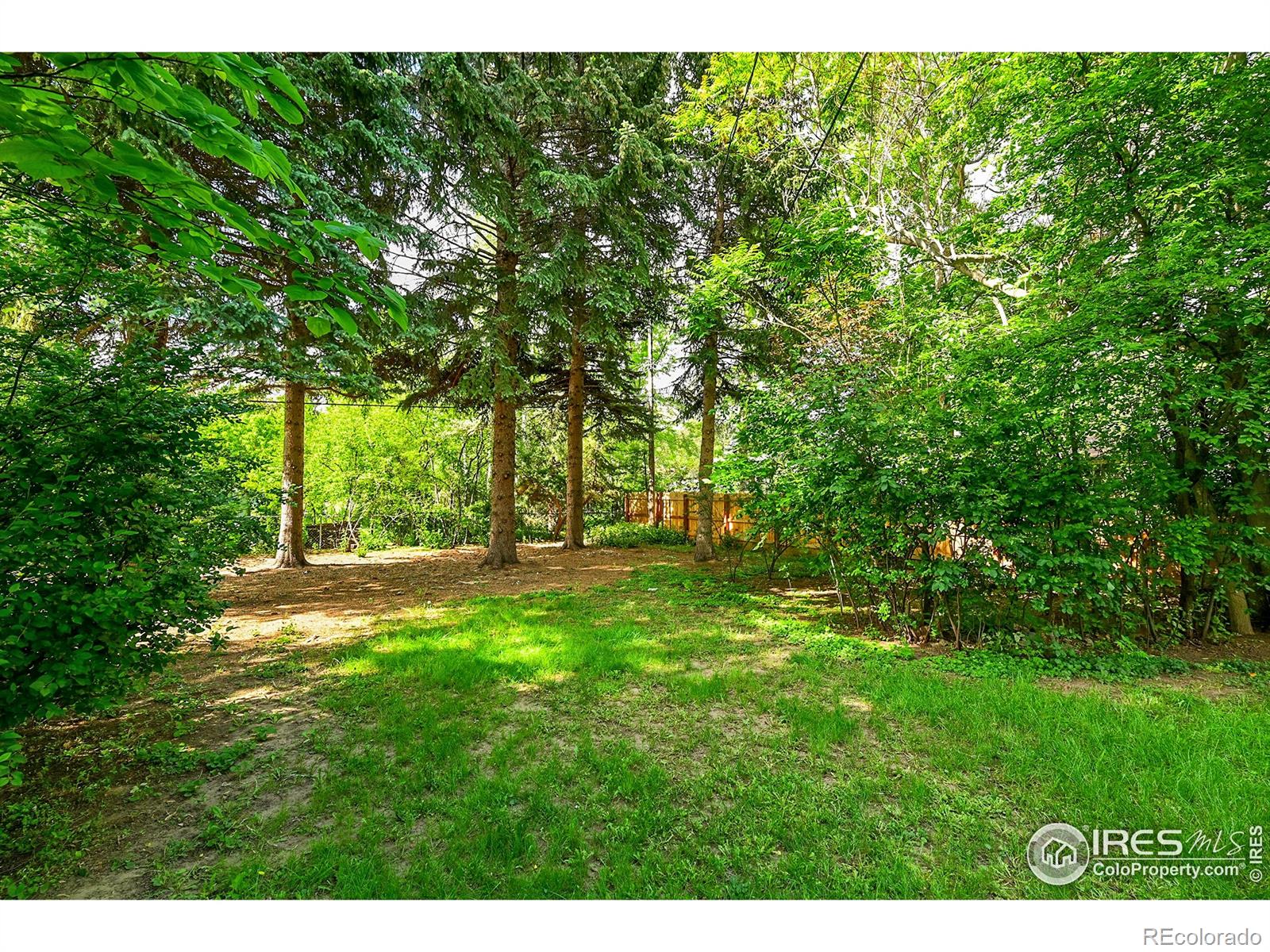 MLS Image #28 for 1210  gard place,loveland, Colorado