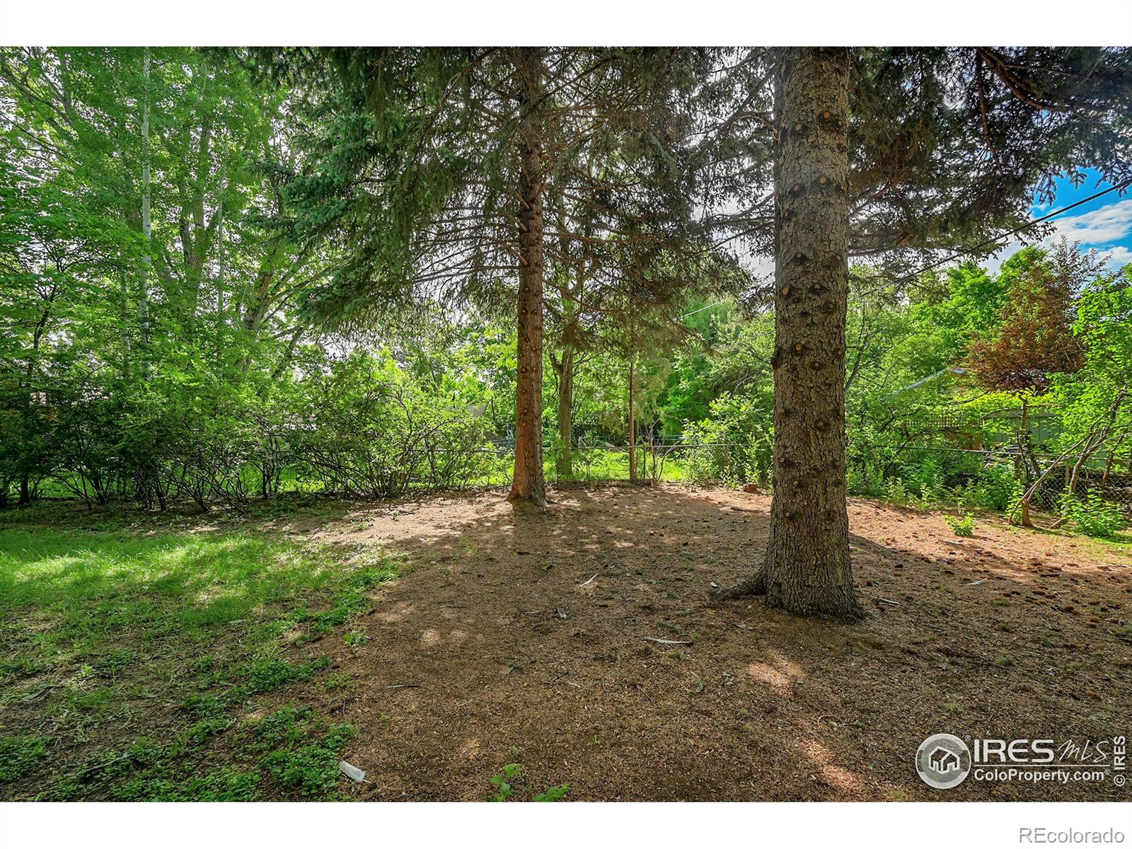 MLS Image #29 for 1210  gard place,loveland, Colorado