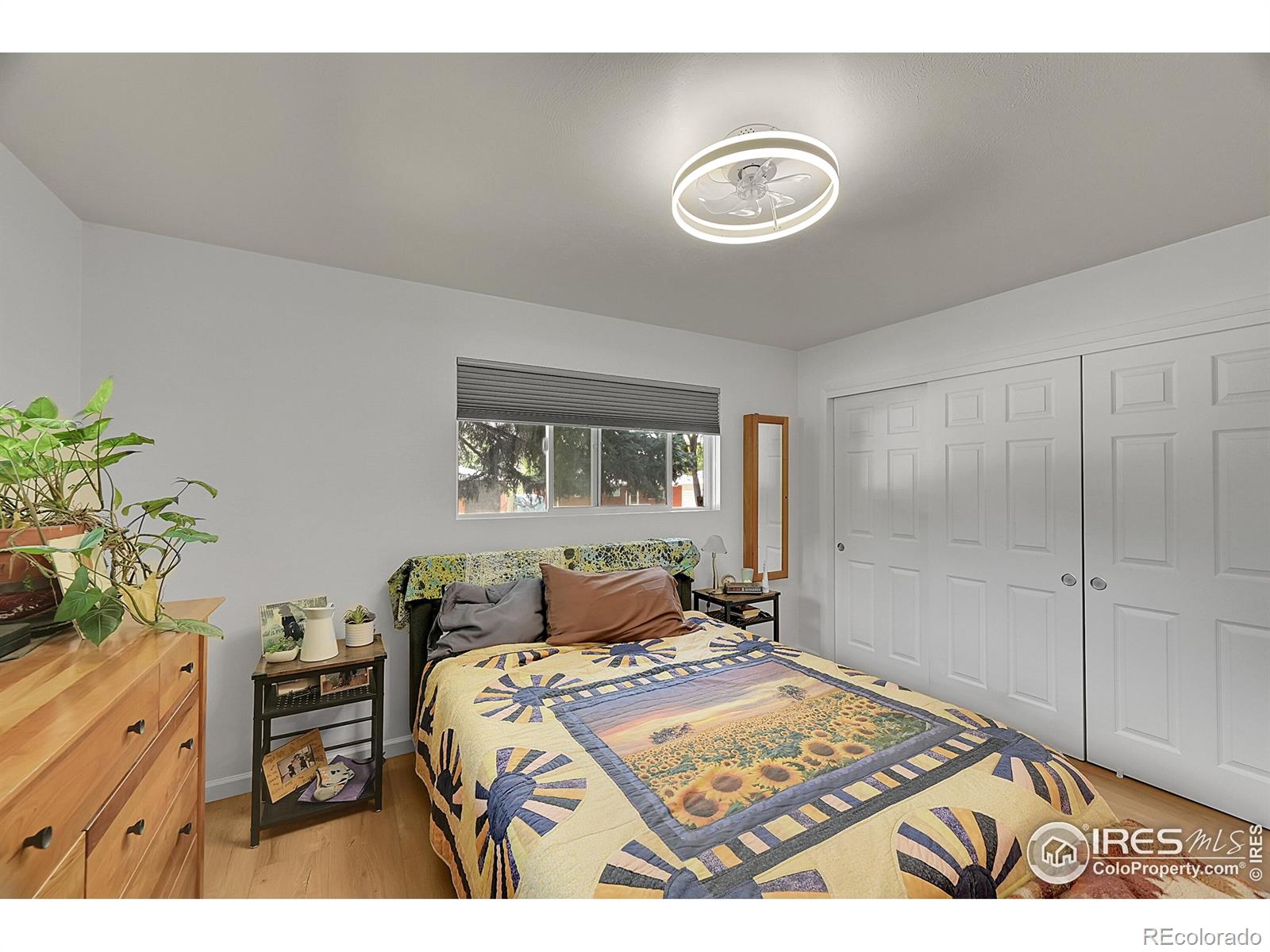 MLS Image #8 for 1210  gard place,loveland, Colorado