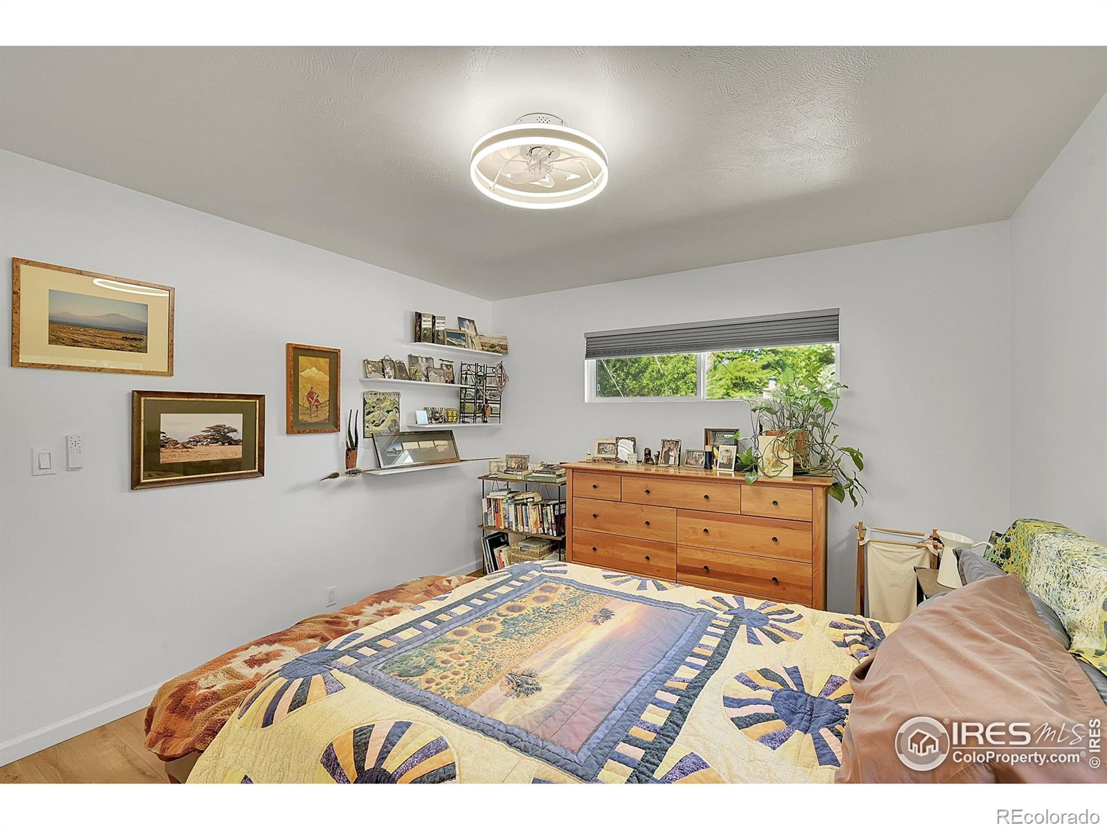 MLS Image #9 for 1210  gard place,loveland, Colorado