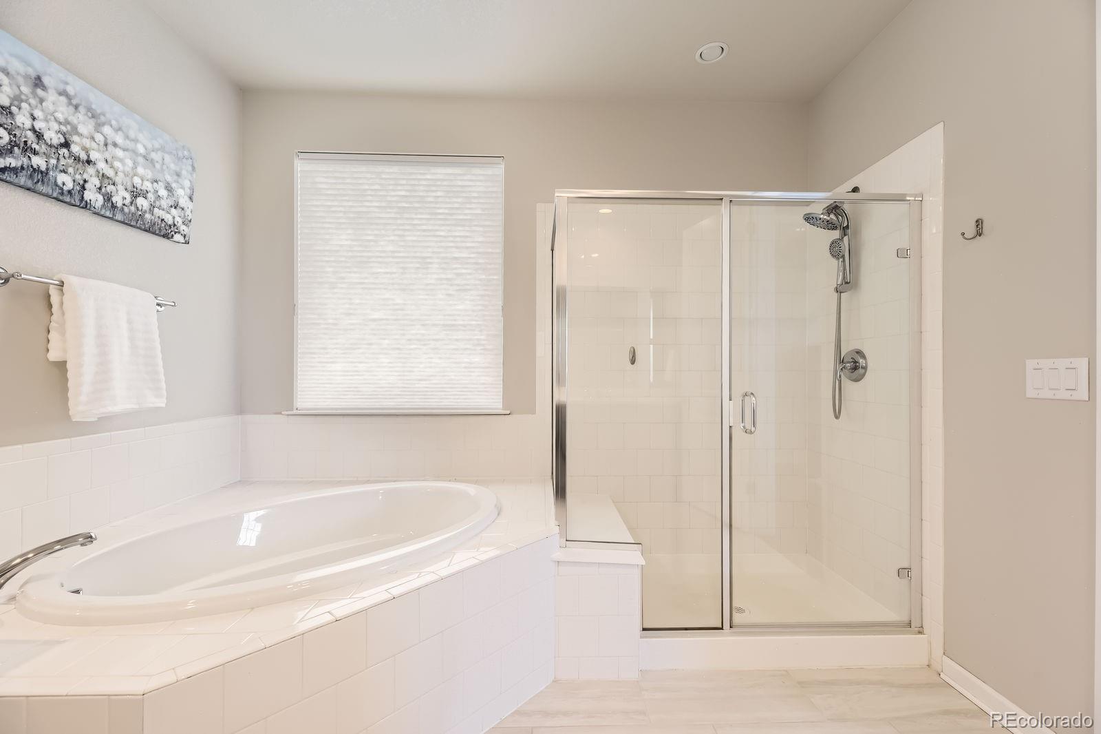 MLS Image #16 for 21855 e idyllwilde drive,parker, Colorado