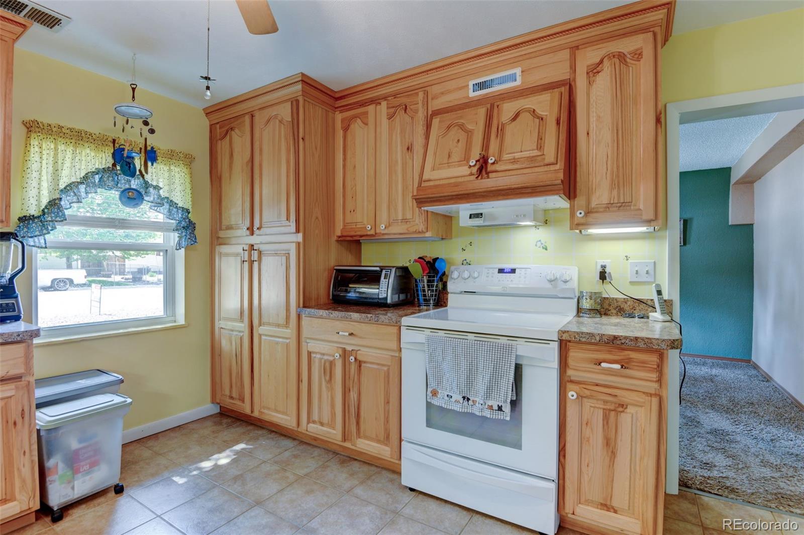 MLS Image #11 for 334 s 7th avenue,brighton, Colorado