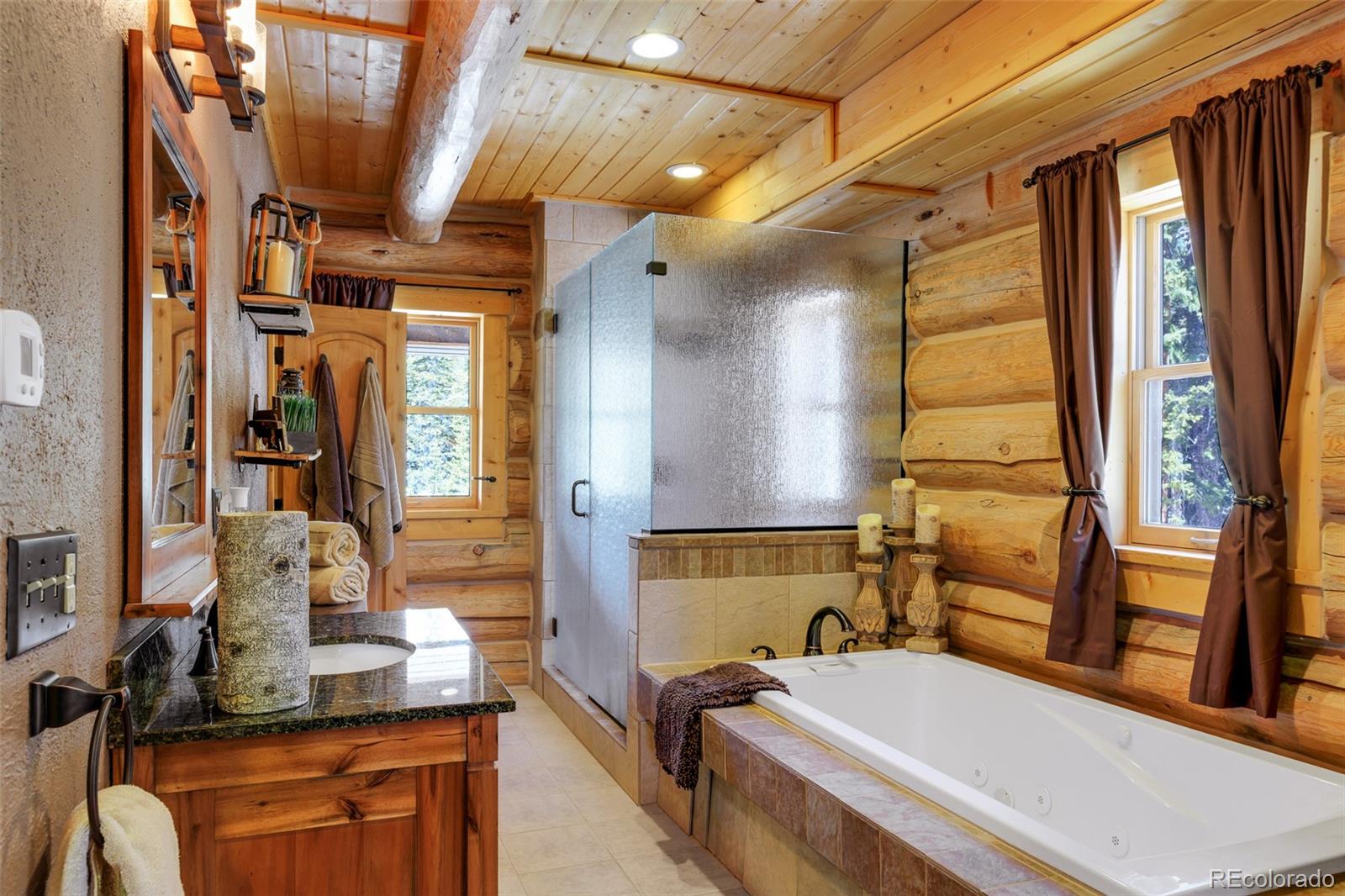 MLS Image #11 for 811  sacramento crossing,fairplay, Colorado