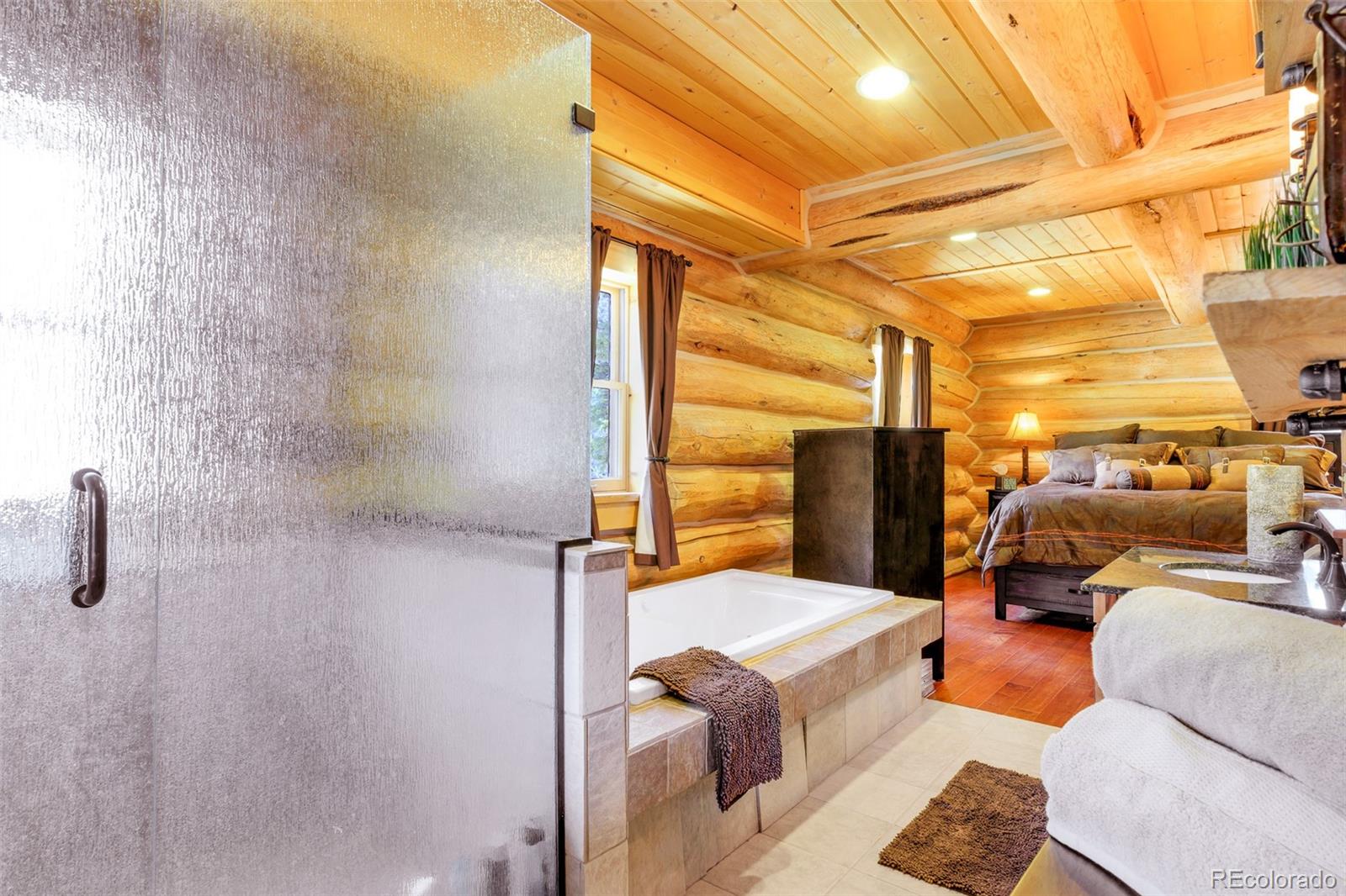 MLS Image #12 for 811  sacramento crossing,fairplay, Colorado