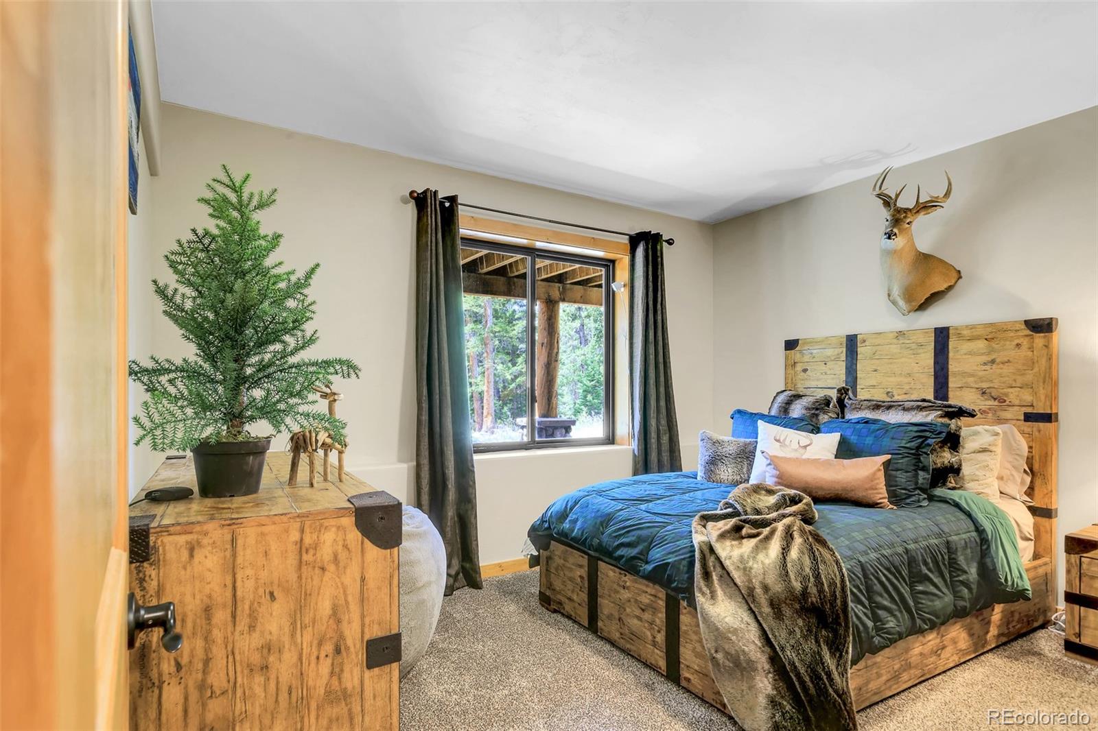 MLS Image #25 for 811  sacramento crossing,fairplay, Colorado