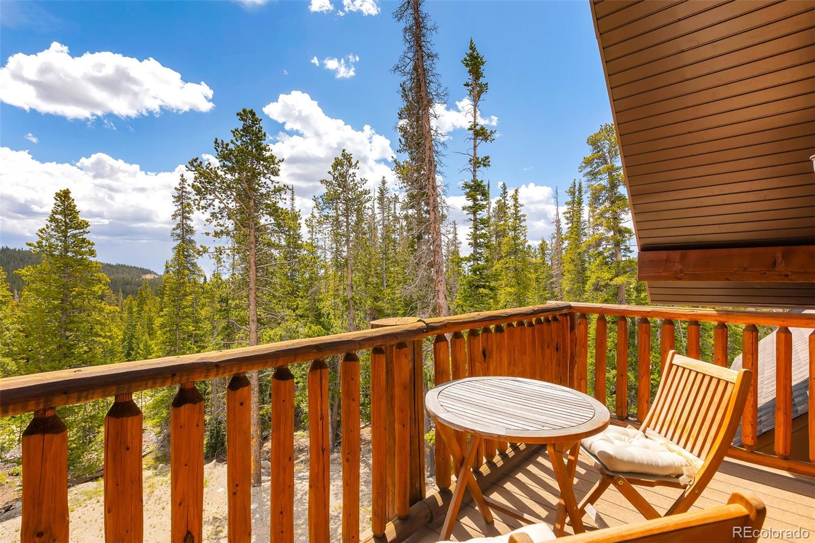 MLS Image #34 for 811  sacramento crossing,fairplay, Colorado