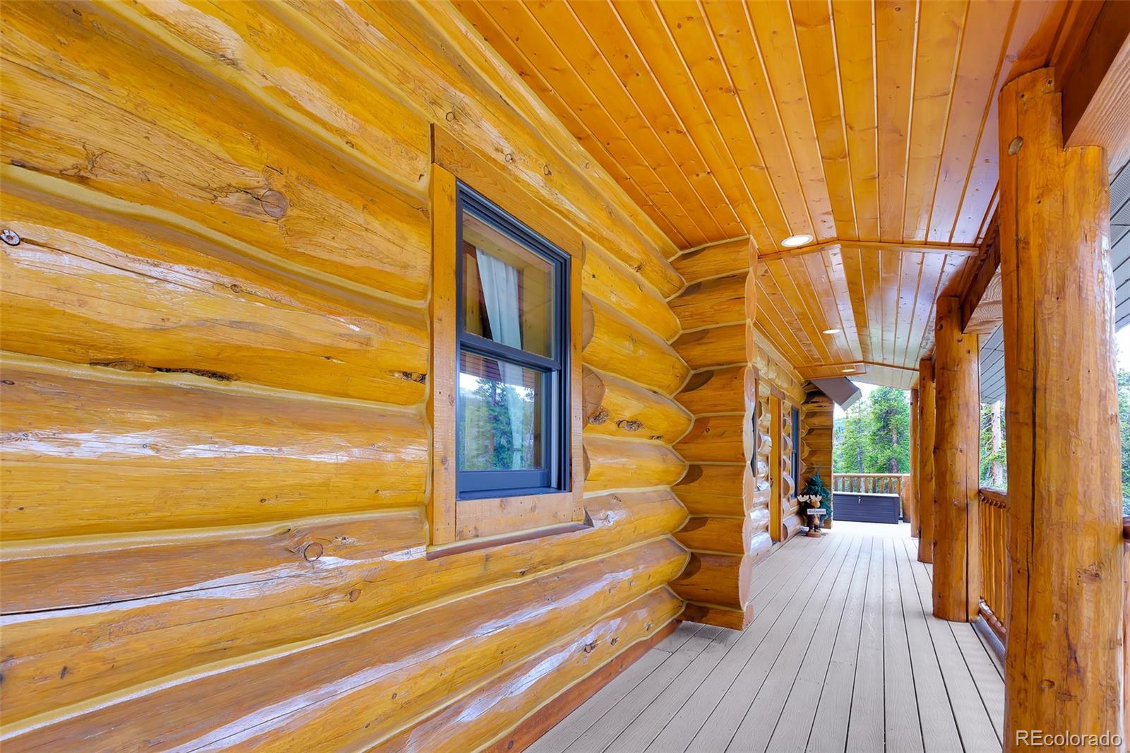 MLS Image #36 for 811  sacramento crossing,fairplay, Colorado