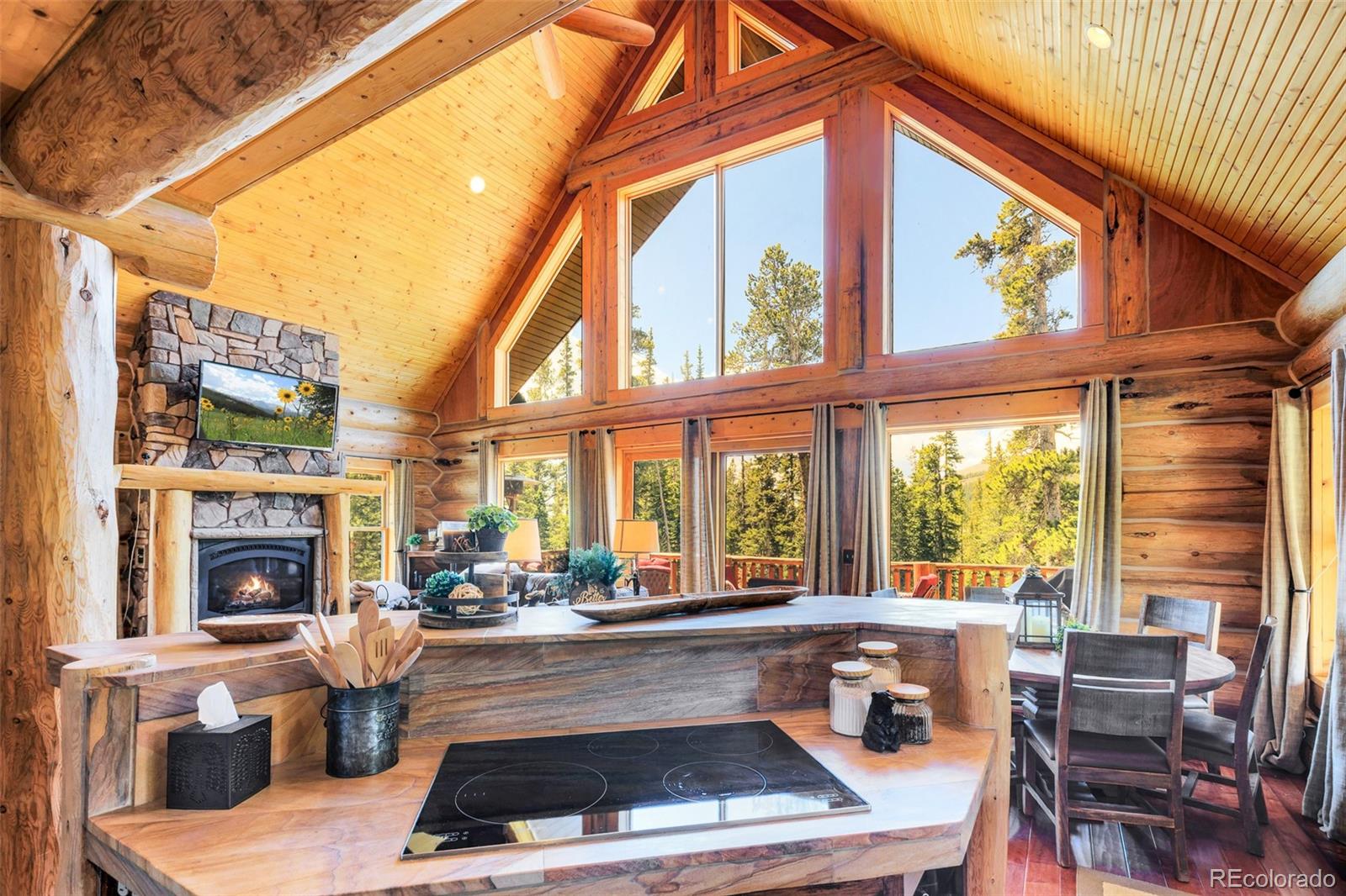 MLS Image #40 for 811  sacramento crossing,fairplay, Colorado