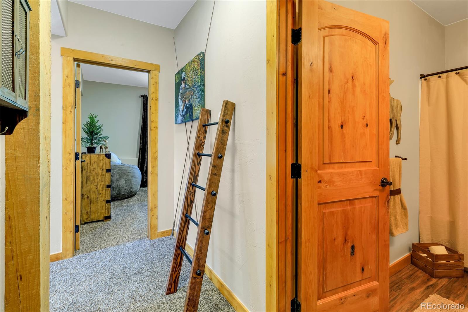 MLS Image #46 for 811  sacramento crossing,fairplay, Colorado
