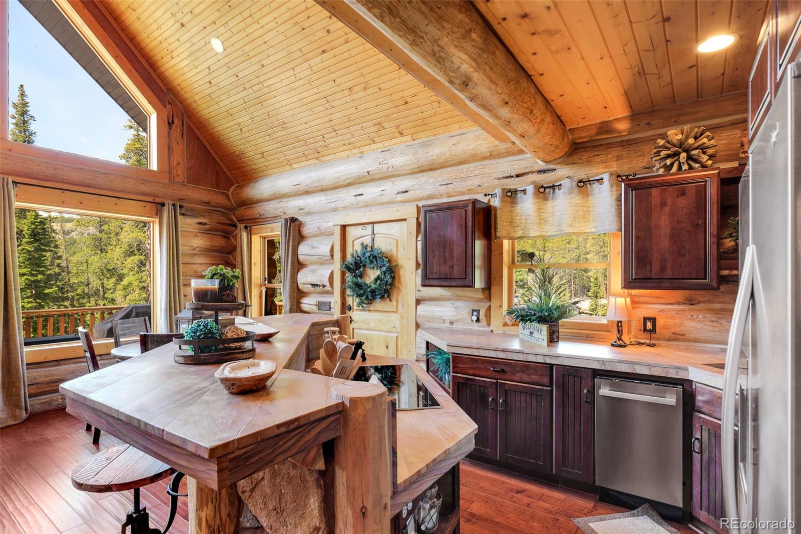 MLS Image #5 for 811  sacramento crossing,fairplay, Colorado