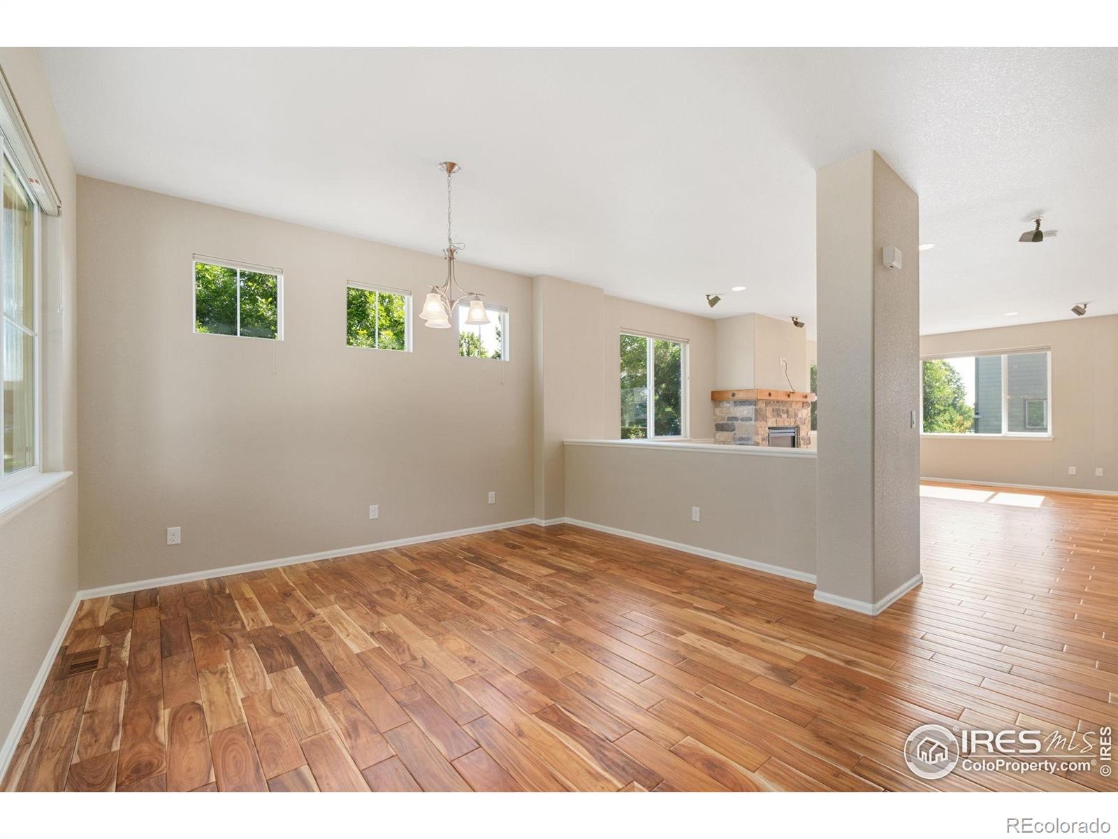 MLS Image #5 for 5894  graphite street,timnath, Colorado