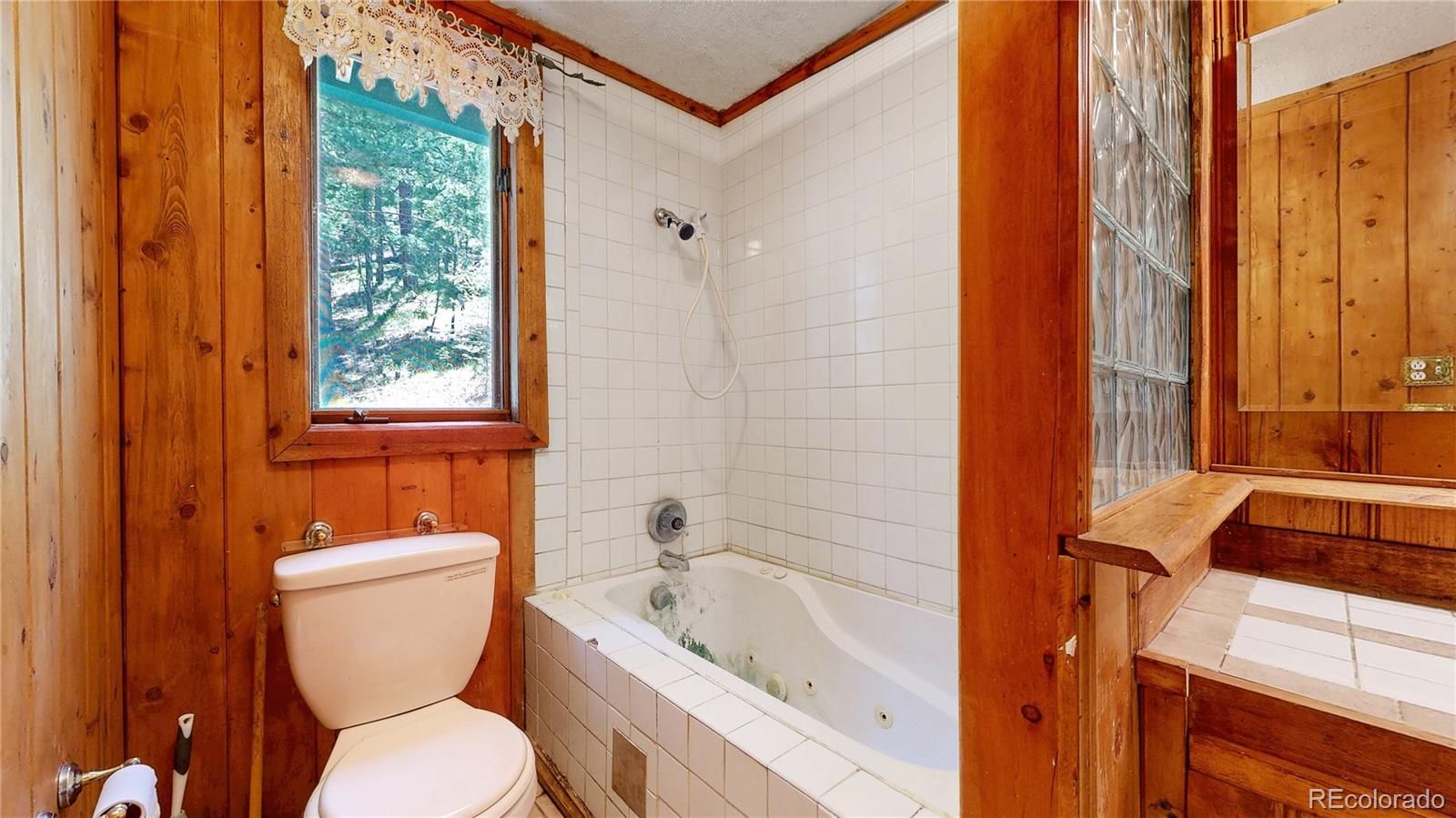 MLS Image #20 for 30094  upper bear creek road,evergreen, Colorado