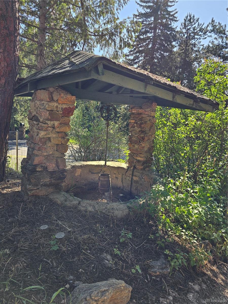 MLS Image #25 for 30094  upper bear creek road,evergreen, Colorado