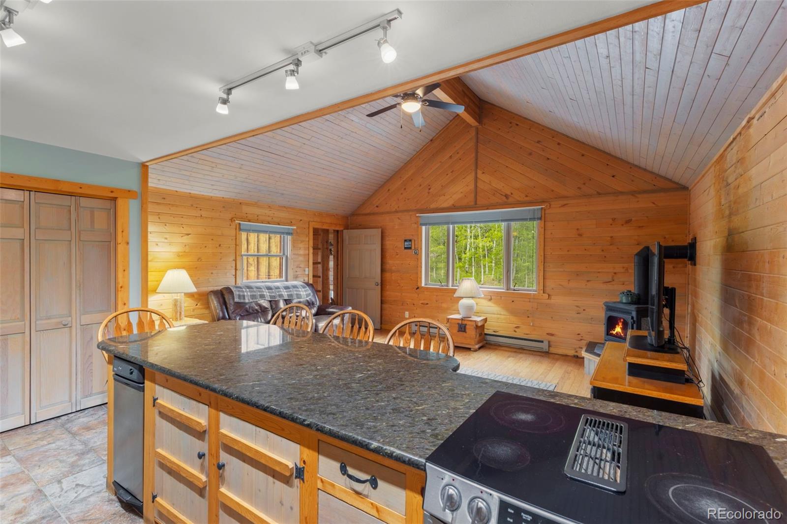 MLS Image #16 for 1516  blue ridge road,silverthorne, Colorado