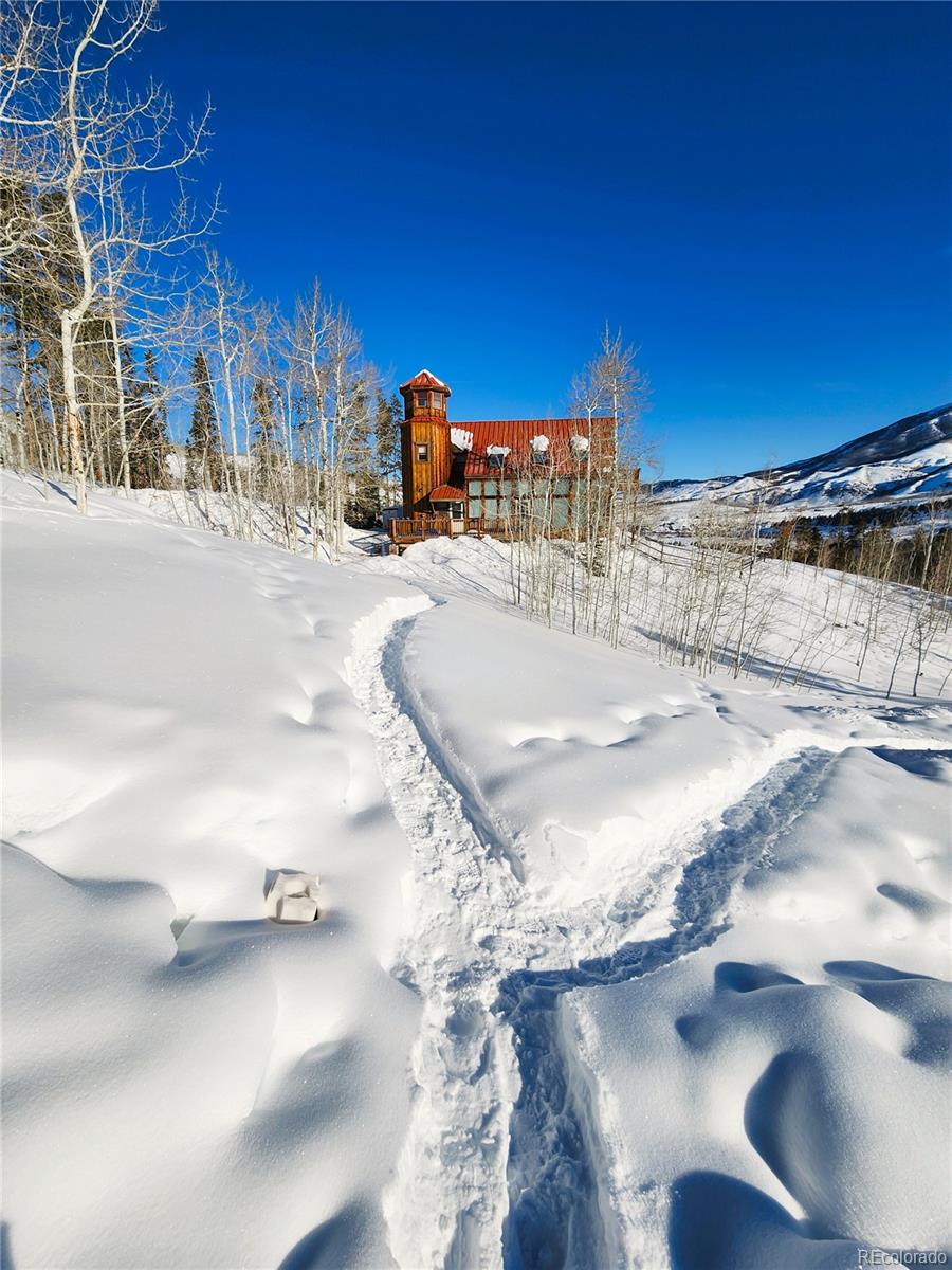 MLS Image #48 for 1516  blue ridge road,silverthorne, Colorado