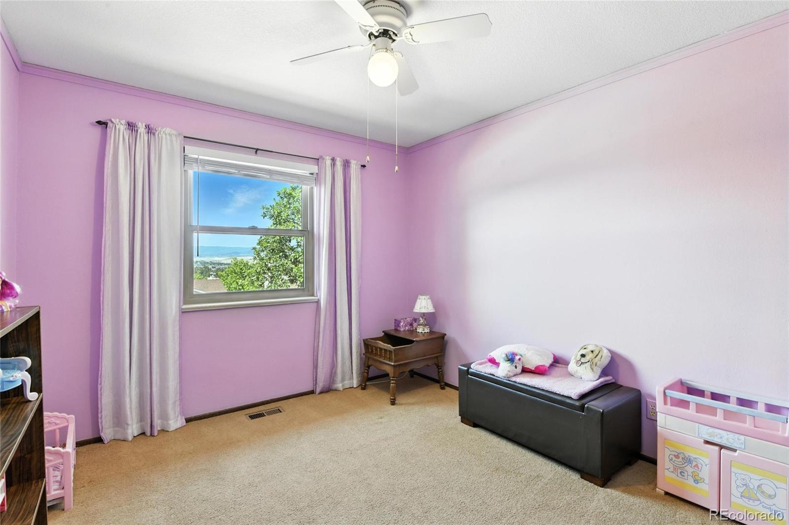 MLS Image #17 for 452  gordon drive,castle rock, Colorado