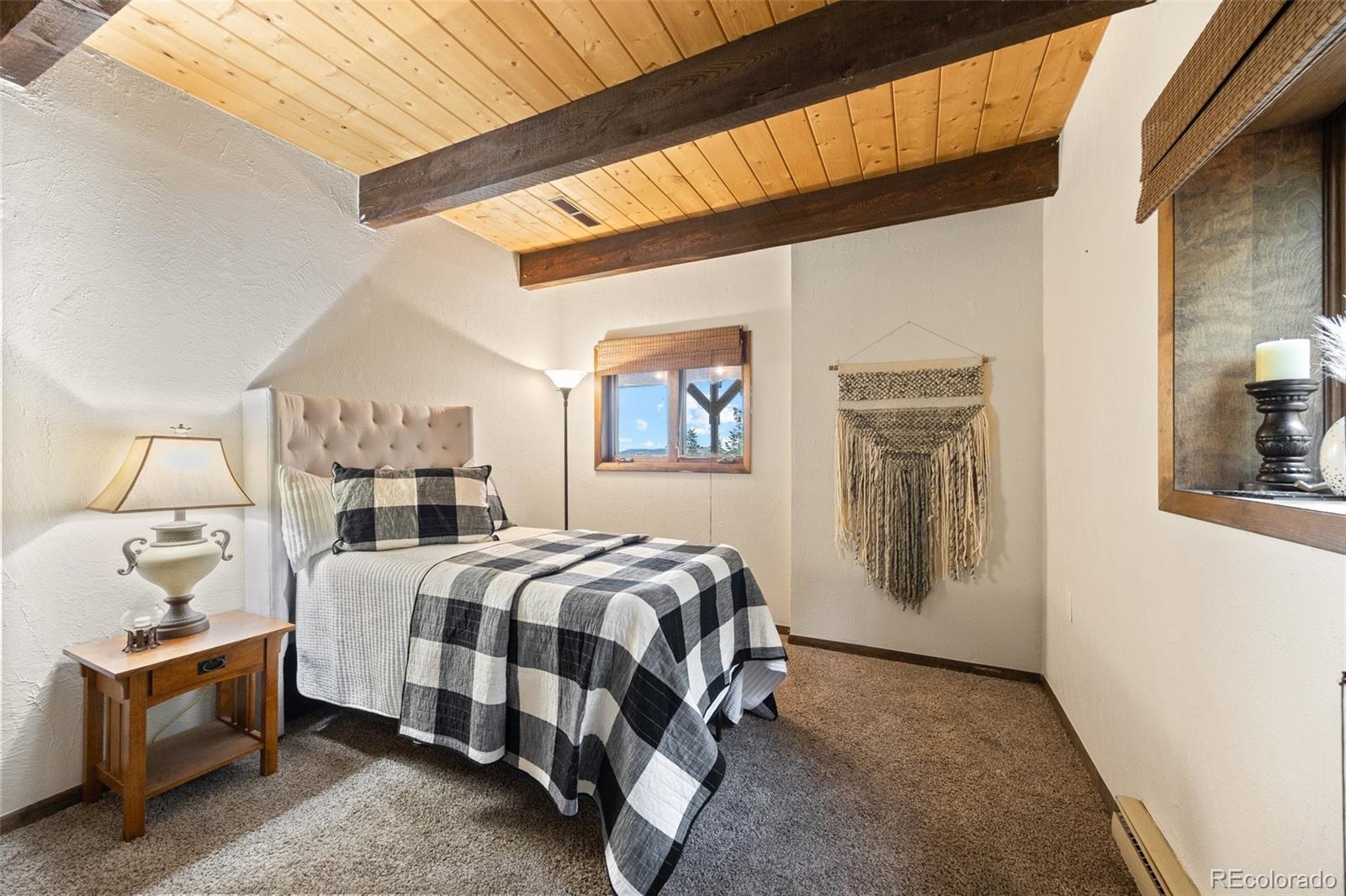 MLS Image #28 for 32462  lodgepole drive,evergreen, Colorado