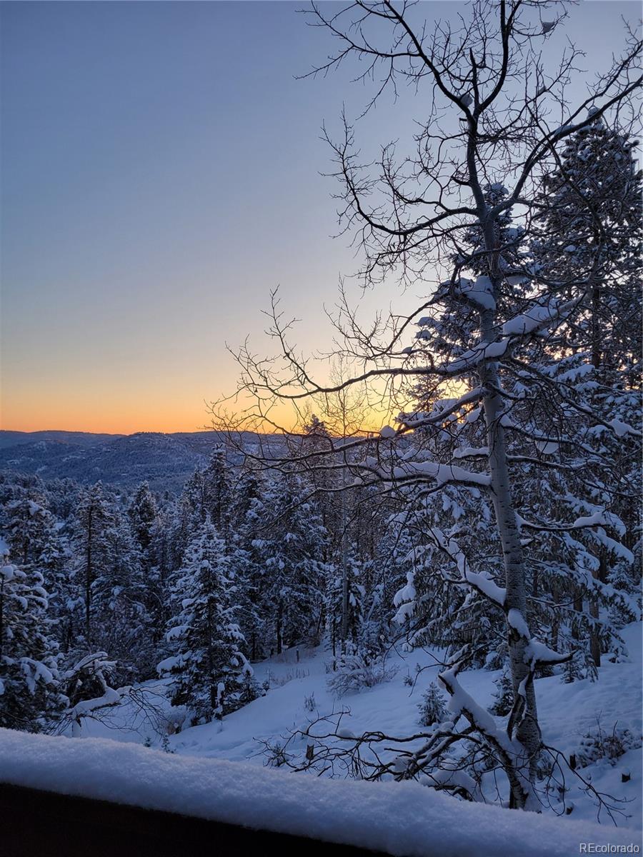 MLS Image #45 for 32462  lodgepole drive,evergreen, Colorado