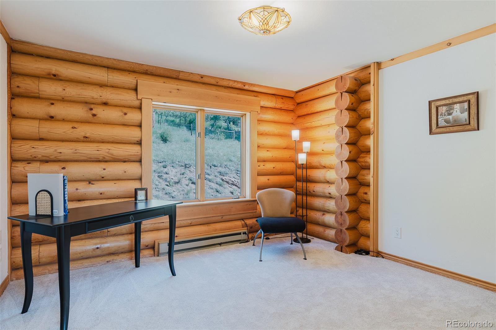 MLS Image #21 for 12135  cochise circle,conifer, Colorado