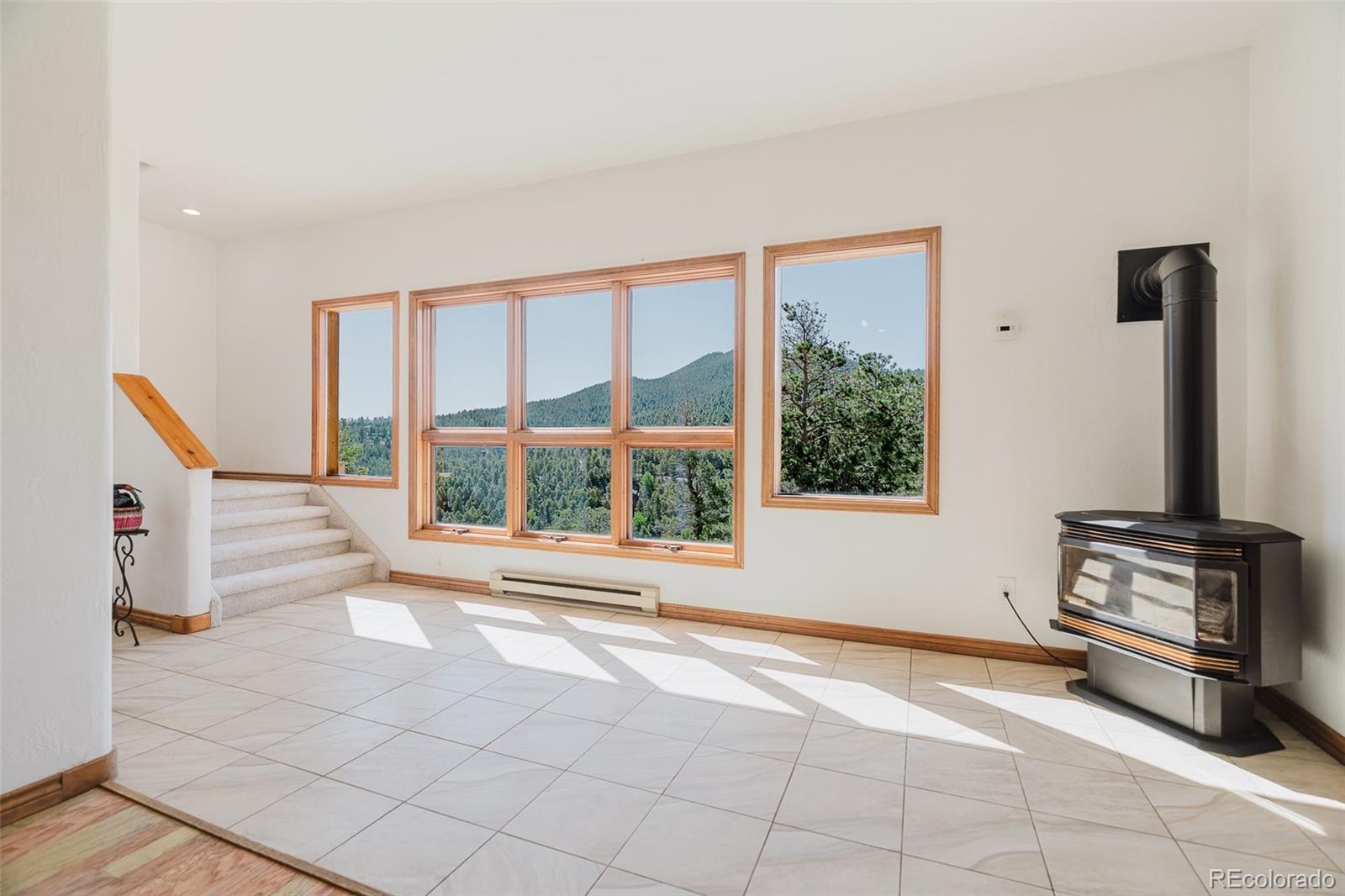 MLS Image #25 for 12135  cochise circle,conifer, Colorado