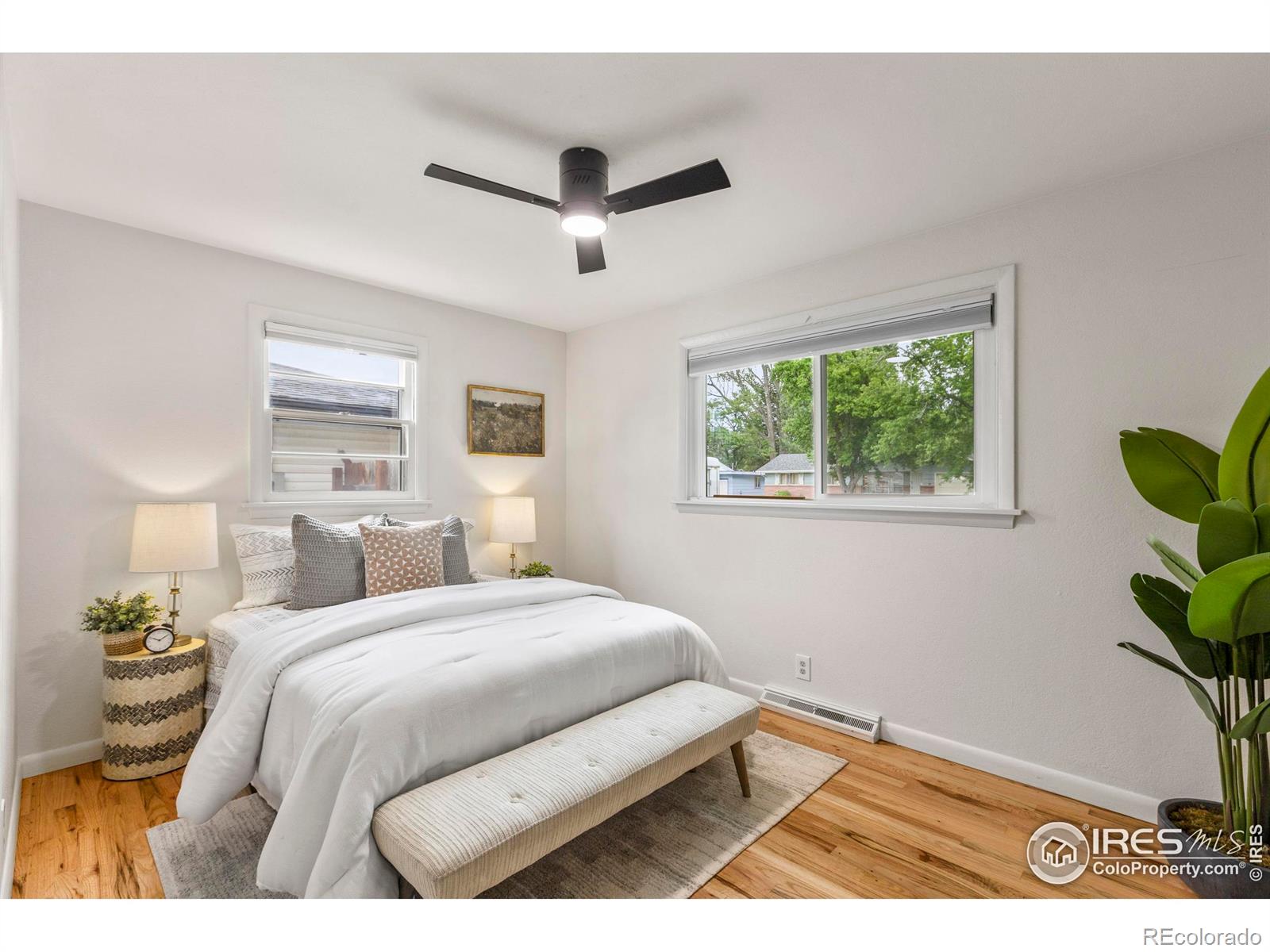 MLS Image #23 for 419  tedmon drive,fort collins, Colorado