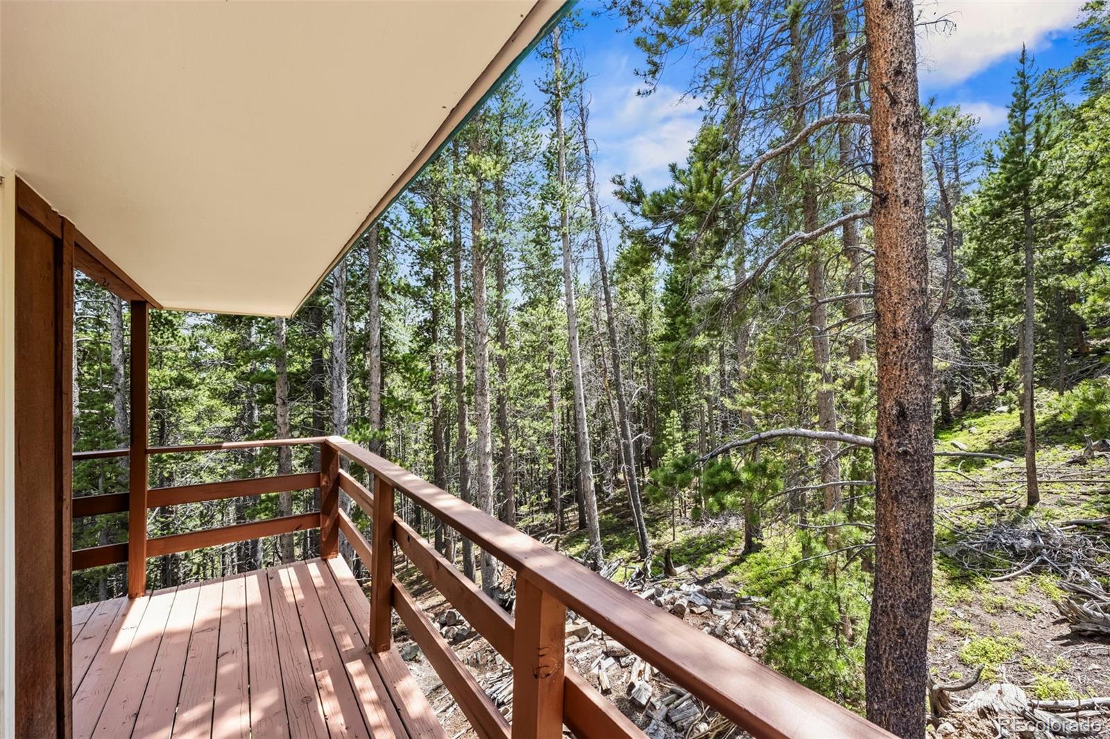 MLS Image #19 for 542  harris drive,idaho springs, Colorado