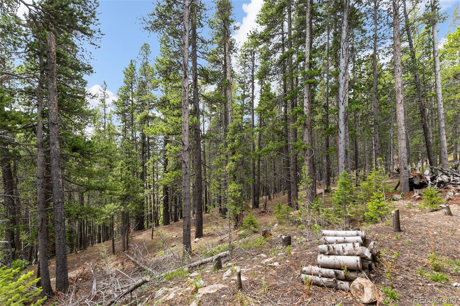 MLS Image #35 for 542  harris drive,idaho springs, Colorado