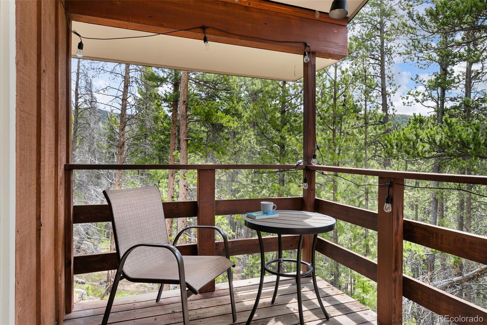MLS Image #37 for 542  harris drive,idaho springs, Colorado