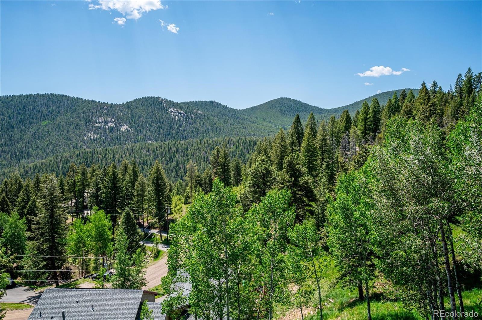 MLS Image #36 for 32392  lodgepole drive,evergreen, Colorado