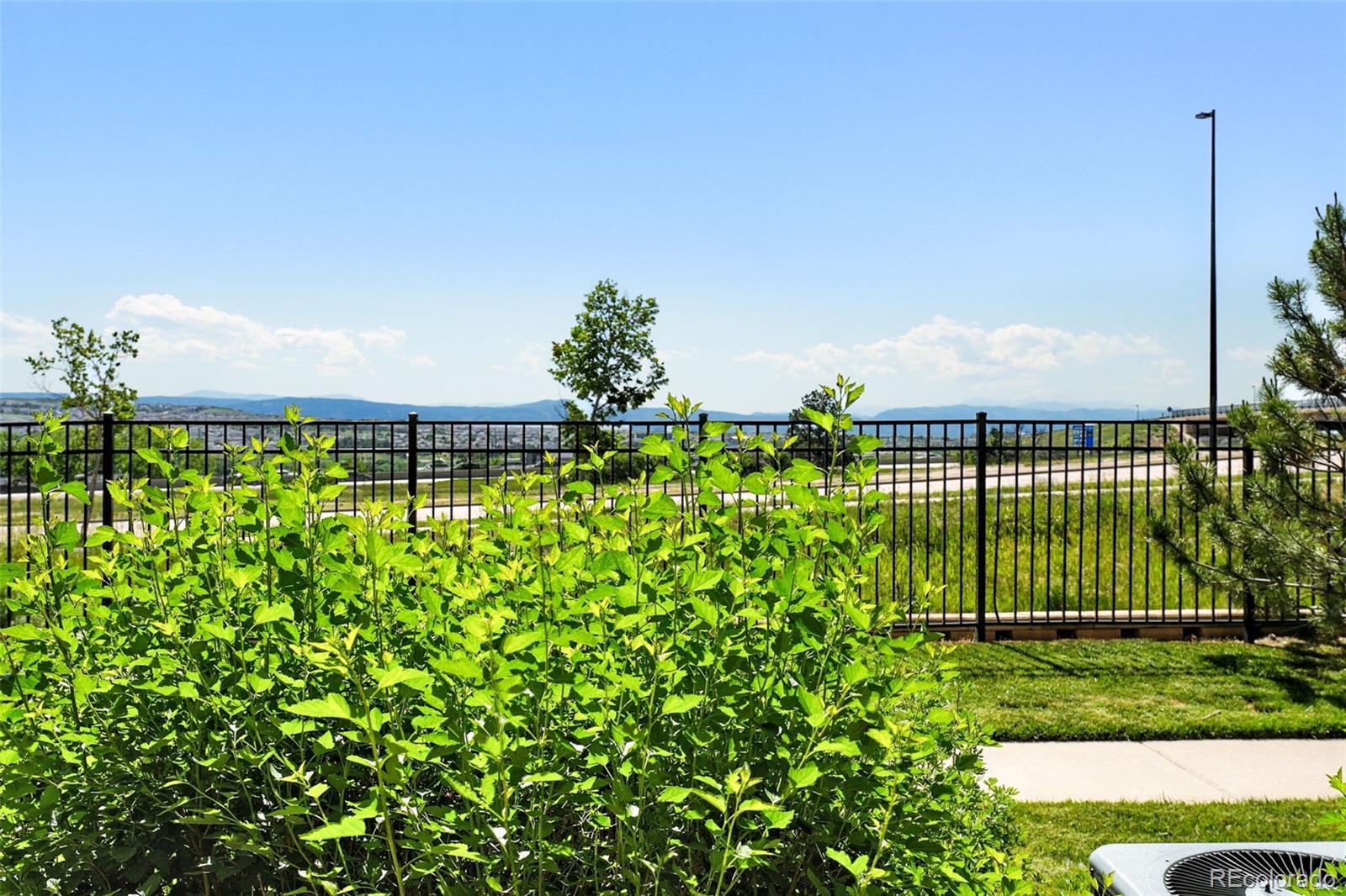 MLS Image #6 for 474  black feather loop,castle rock, Colorado