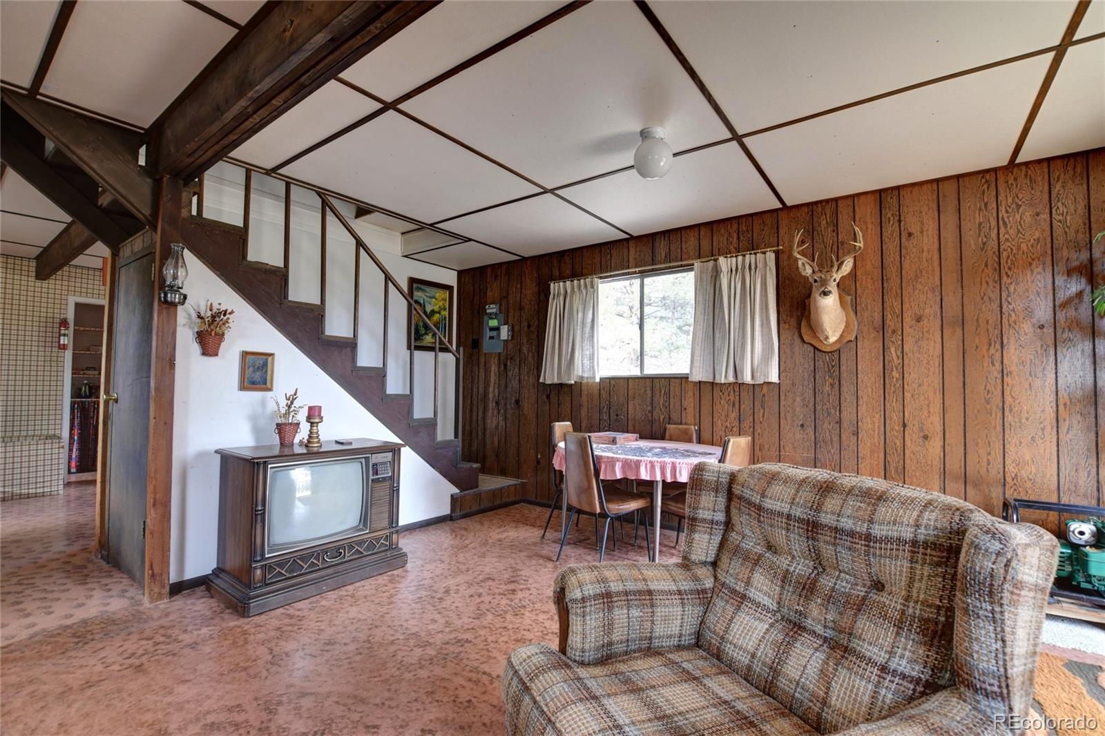 MLS Image #11 for 490  teller street,lake george, Colorado