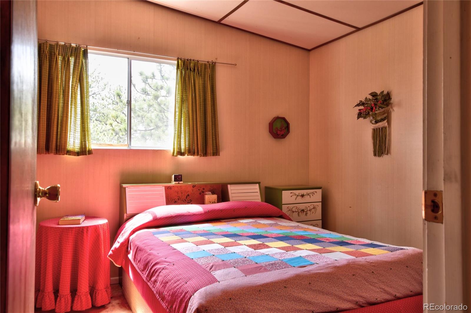 MLS Image #12 for 490  teller street,lake george, Colorado