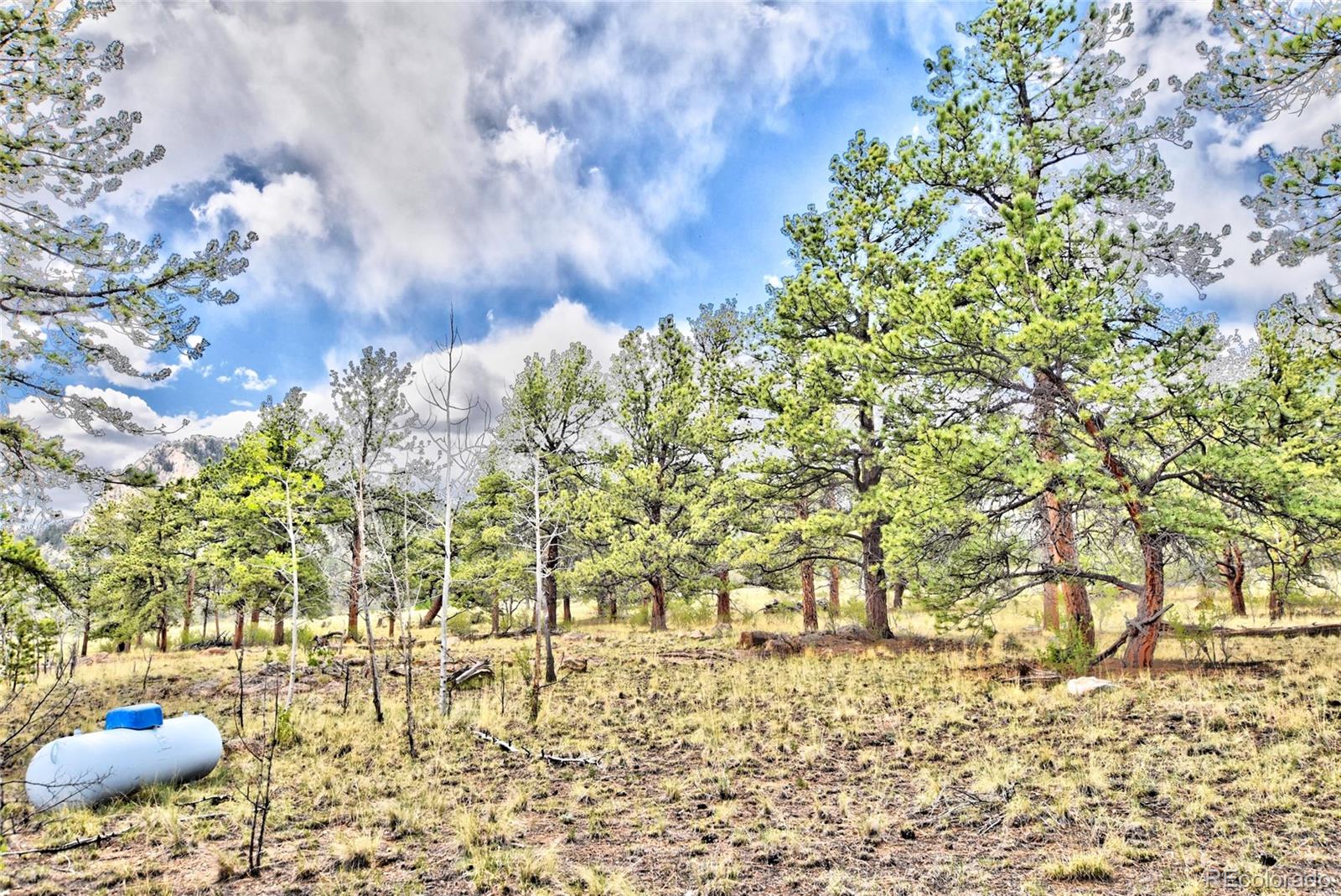 MLS Image #16 for 490  teller street,lake george, Colorado