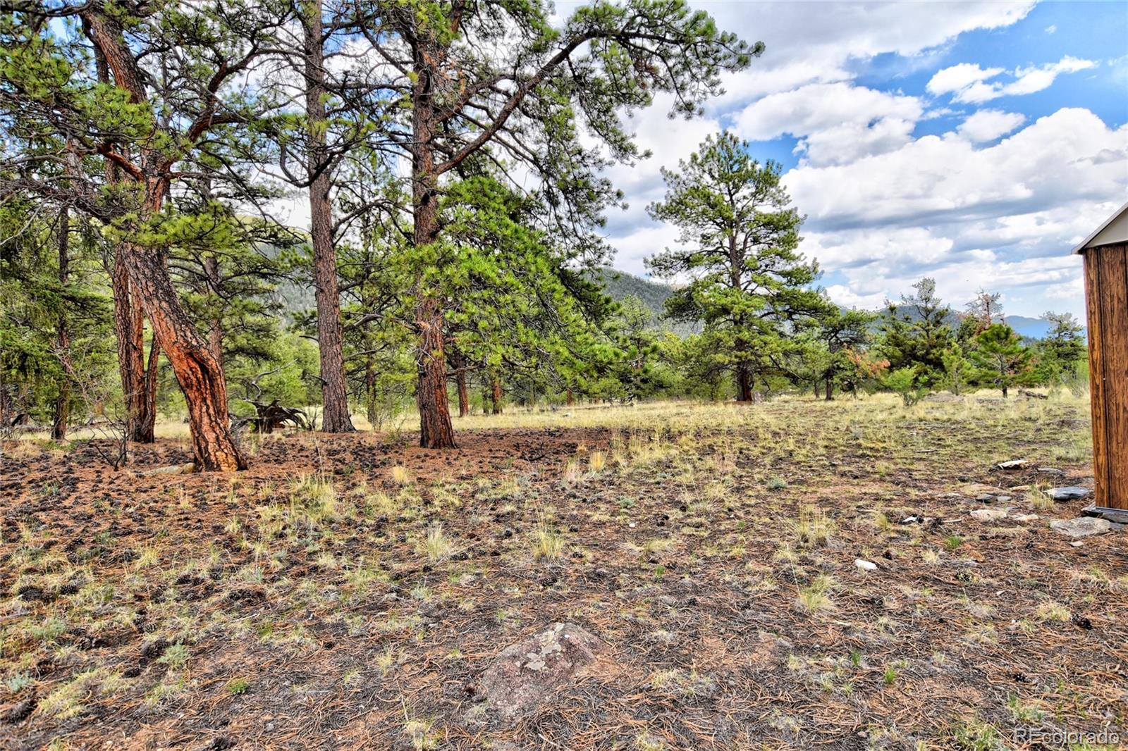 MLS Image #18 for 490  teller street,lake george, Colorado