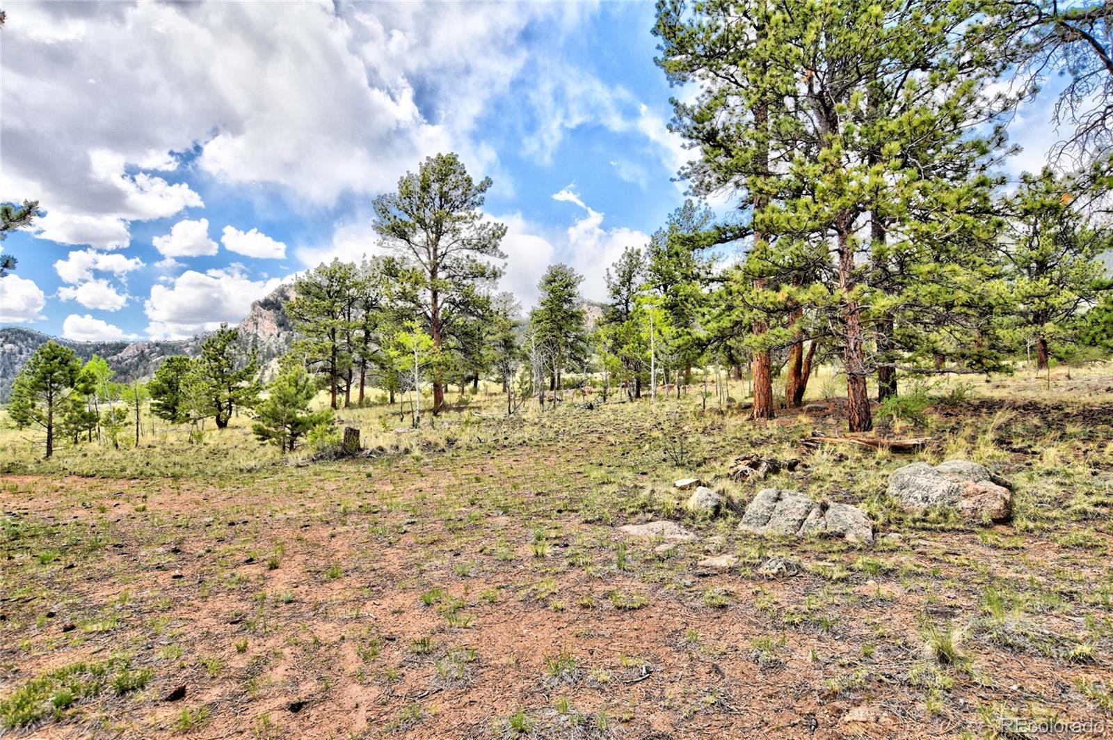 MLS Image #2 for 490  teller street,lake george, Colorado