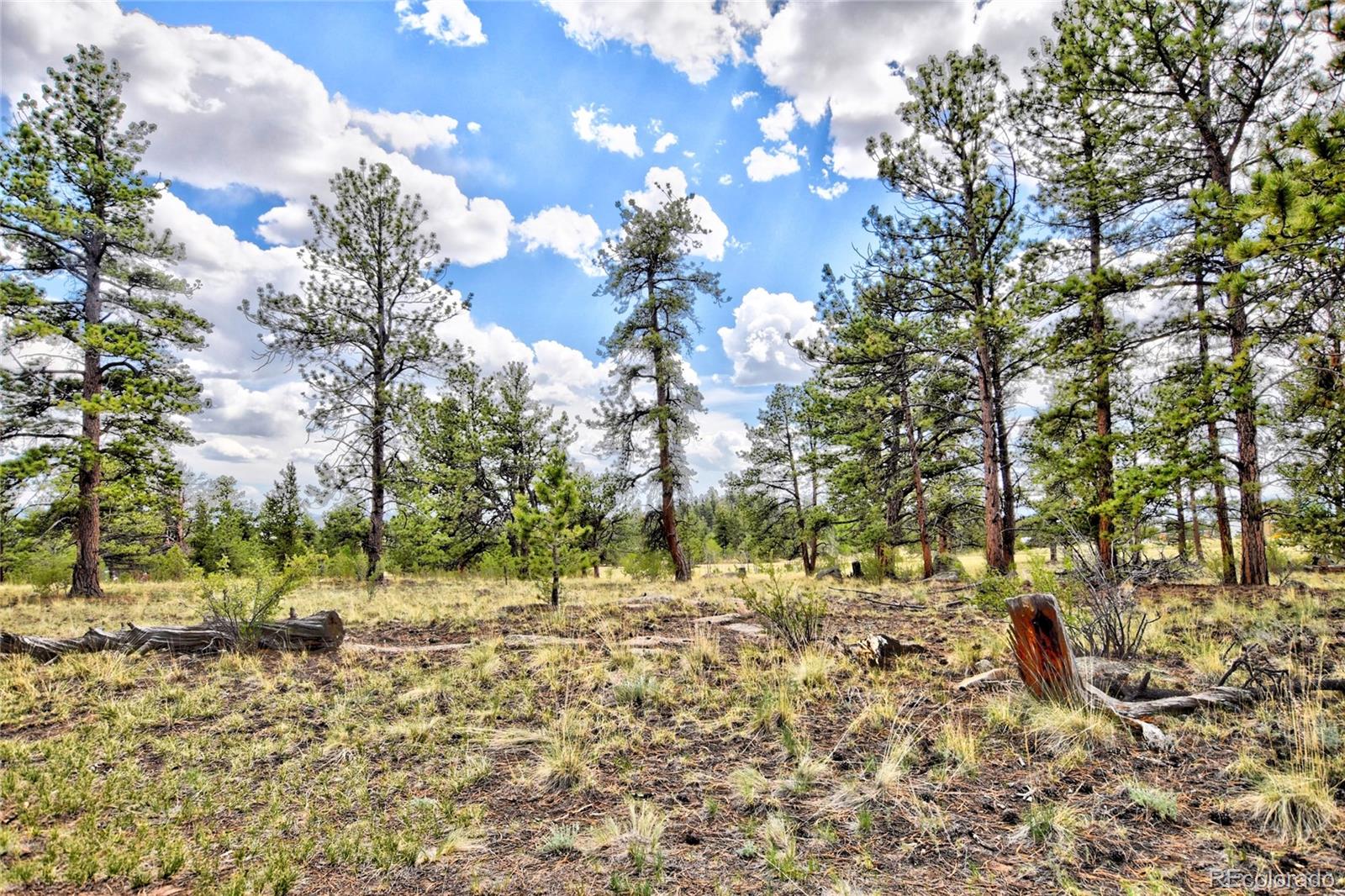 MLS Image #23 for 490  teller street,lake george, Colorado