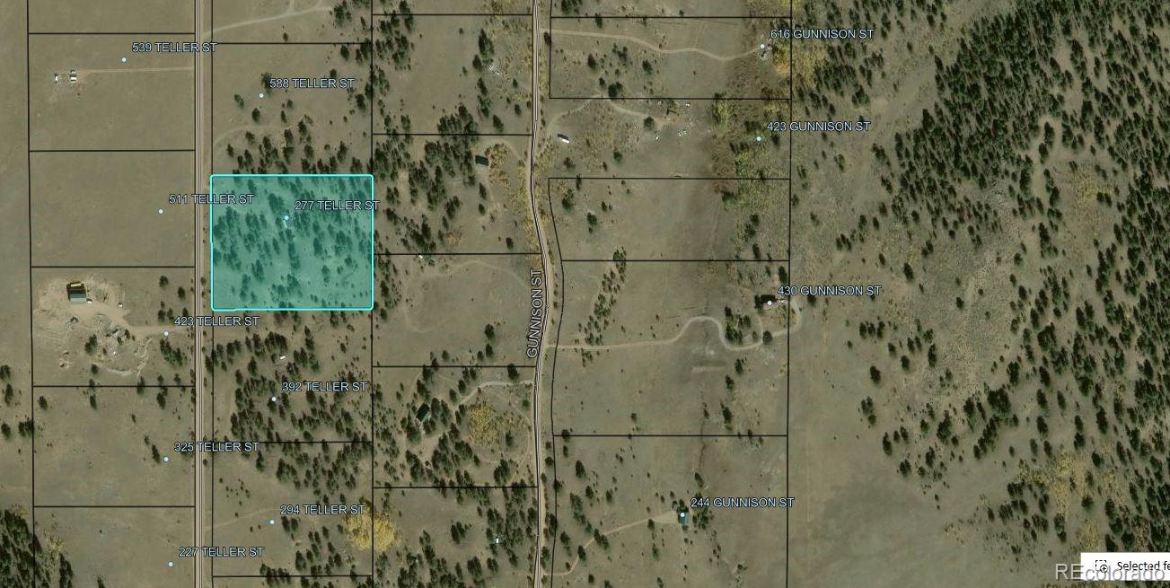 MLS Image #24 for 490  teller street,lake george, Colorado